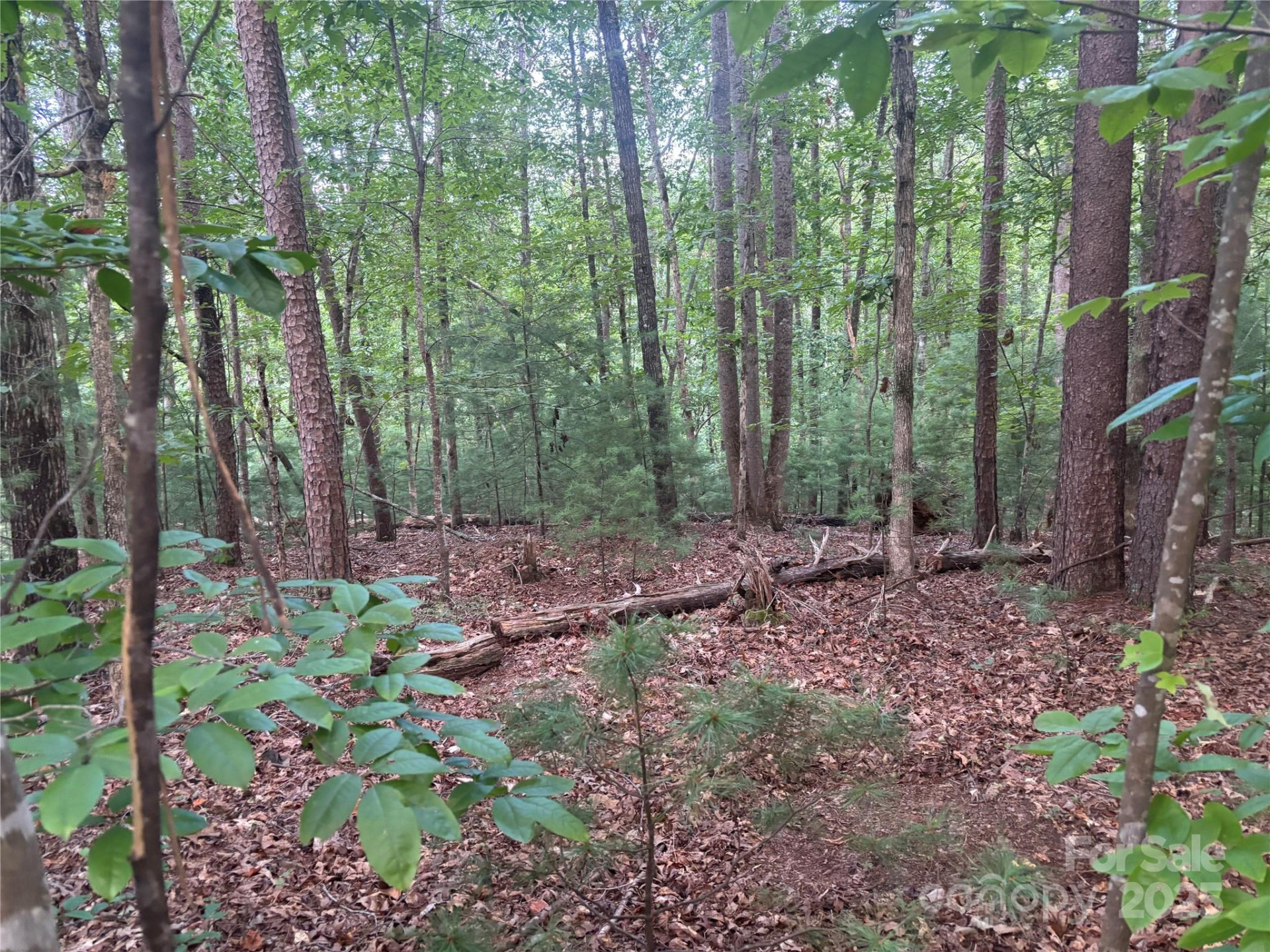 lots 11/12 South Pointe Road - Photo 5