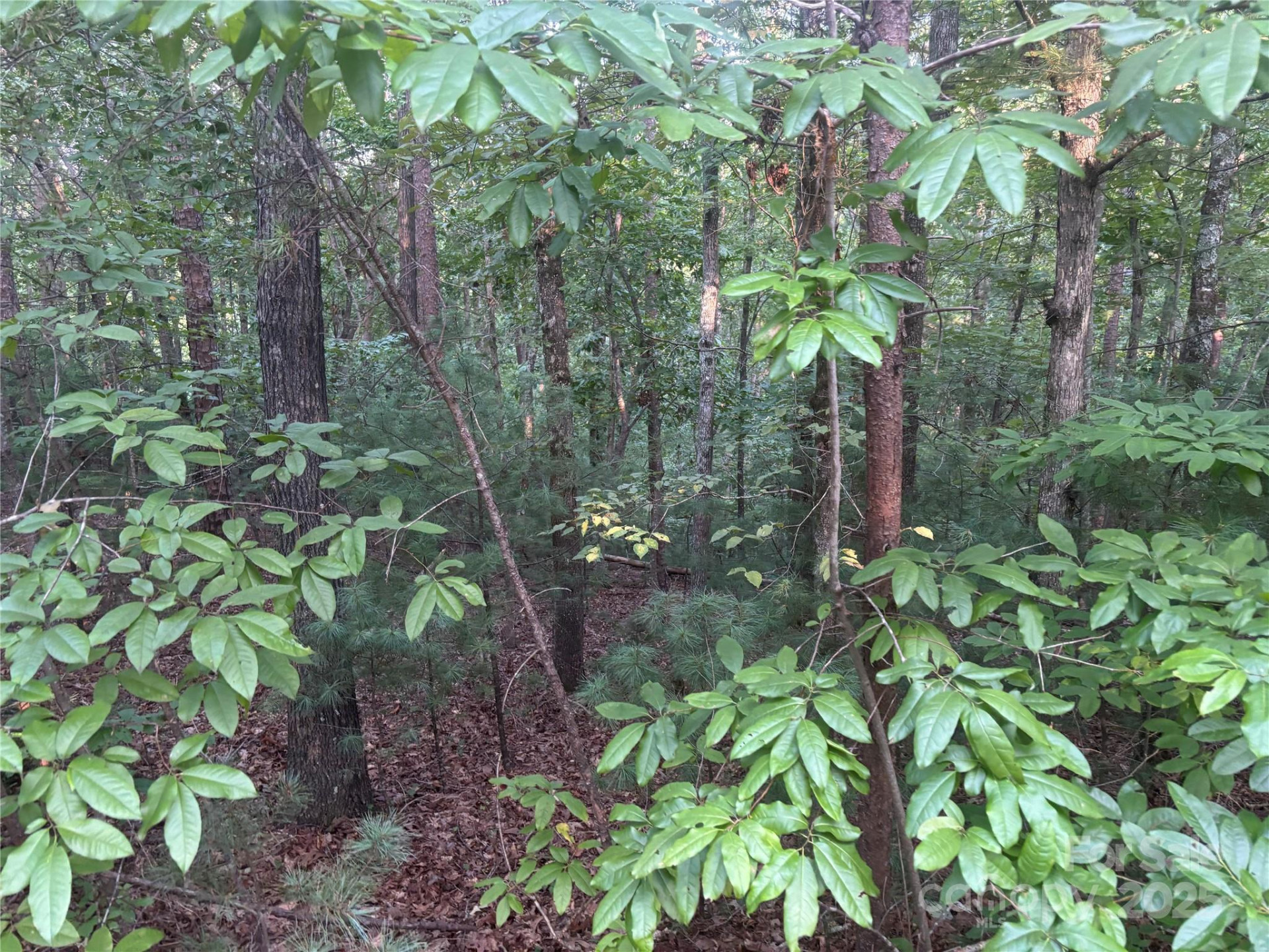 lots 11/12 South Pointe Road - Photo 6