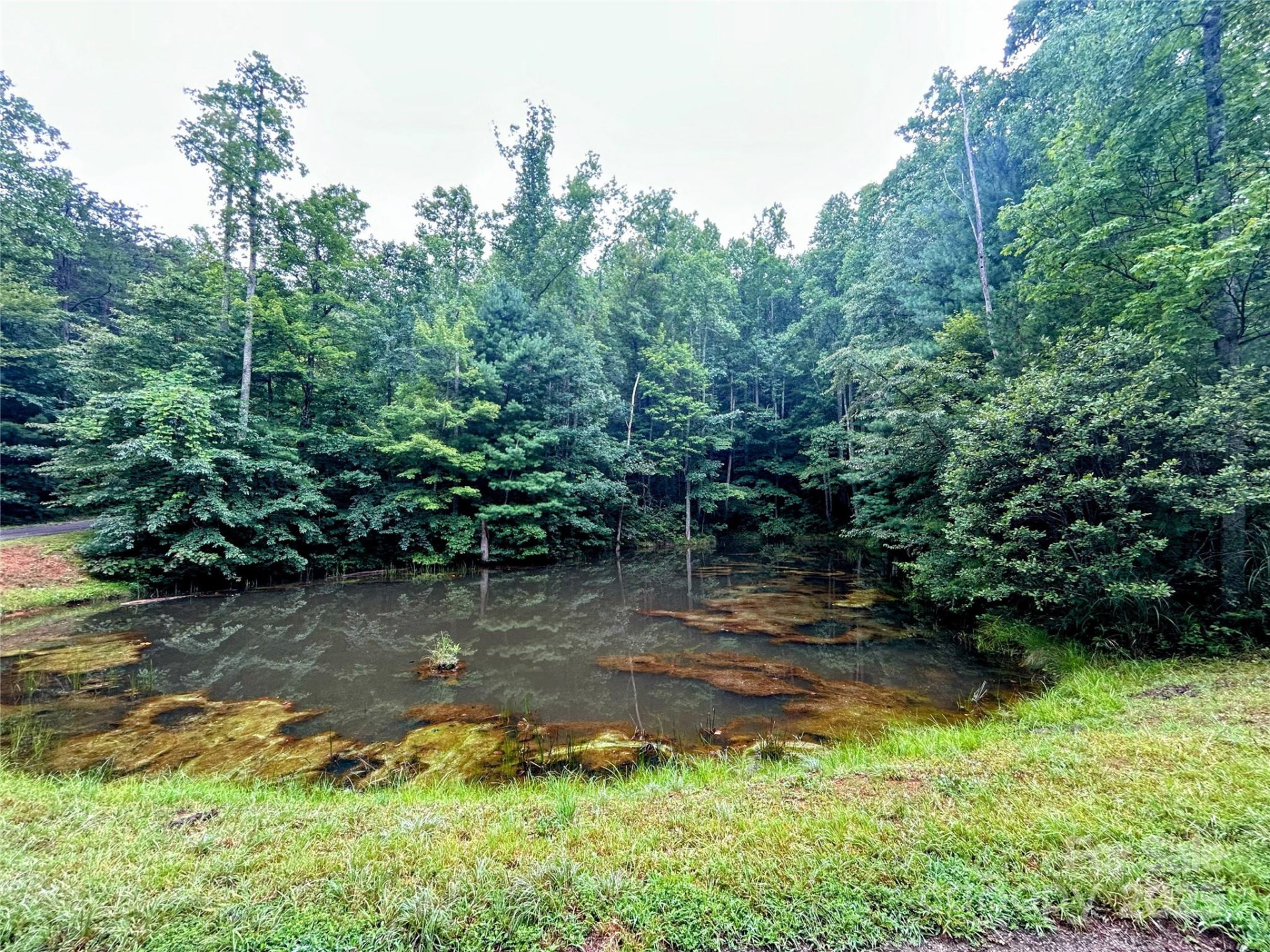 Lot 6 Azalea Way - Photo 2