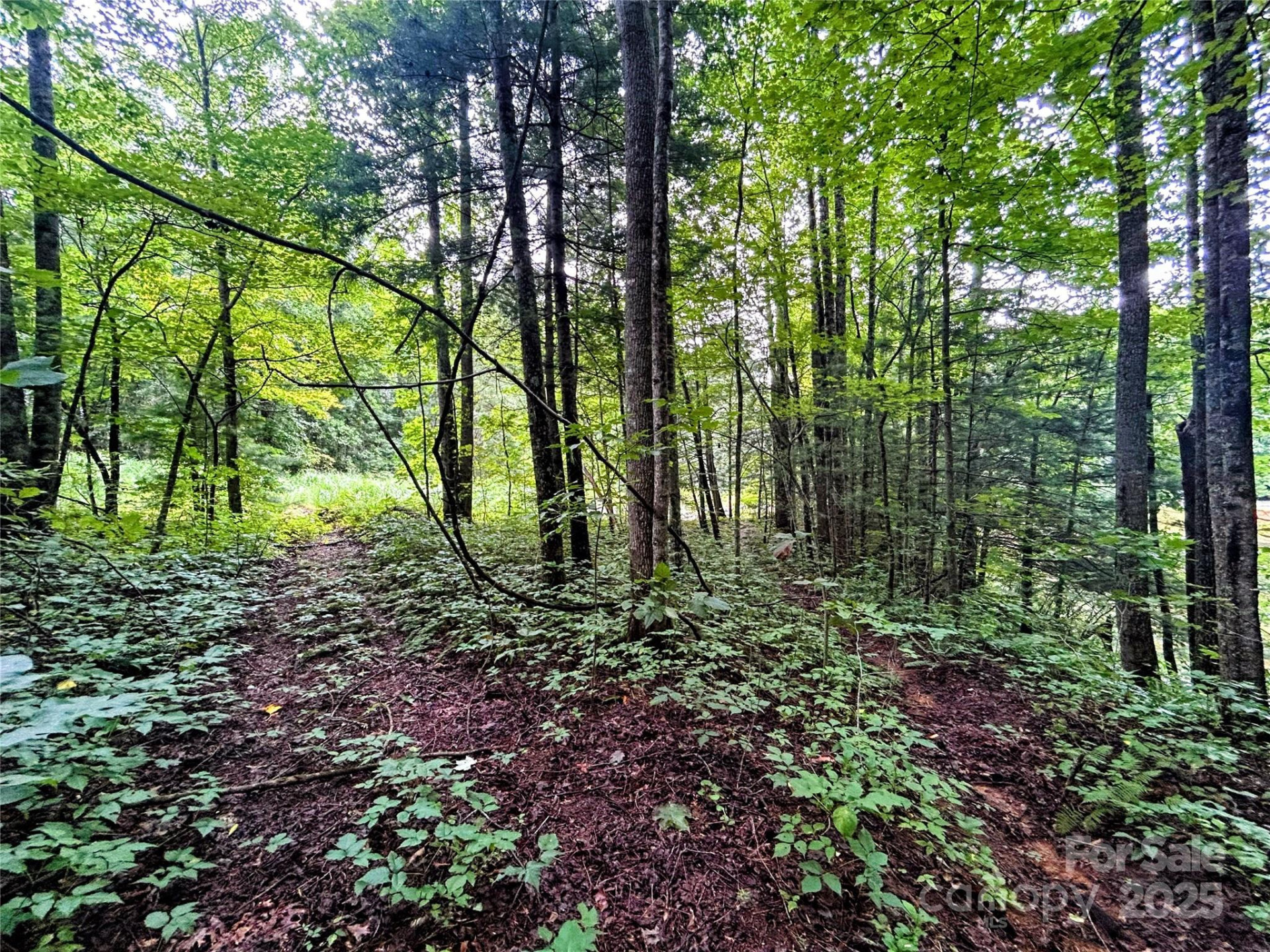 Lot 6 Azalea Way - Photo 3