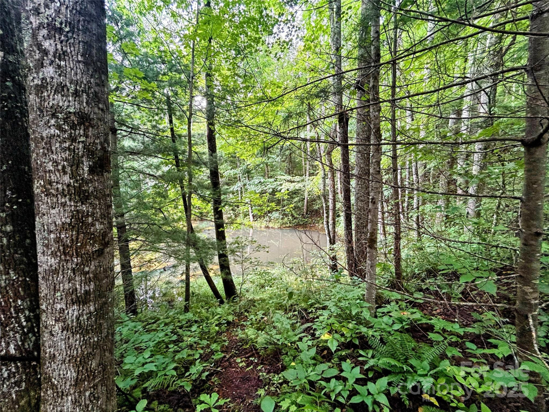 Lot 6 Azalea Way - Photo 6