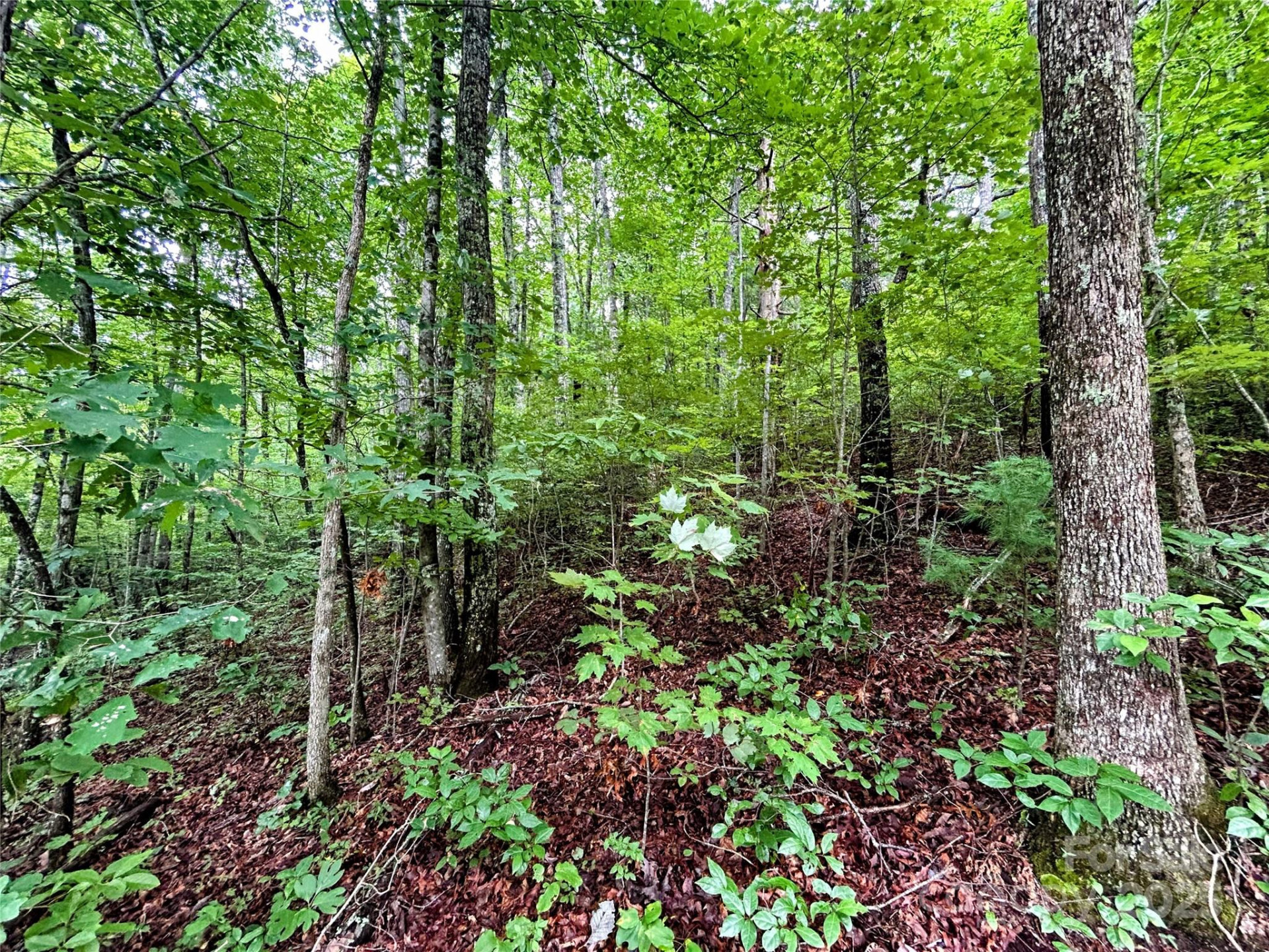 Lot 6 Azalea Way - Photo 8