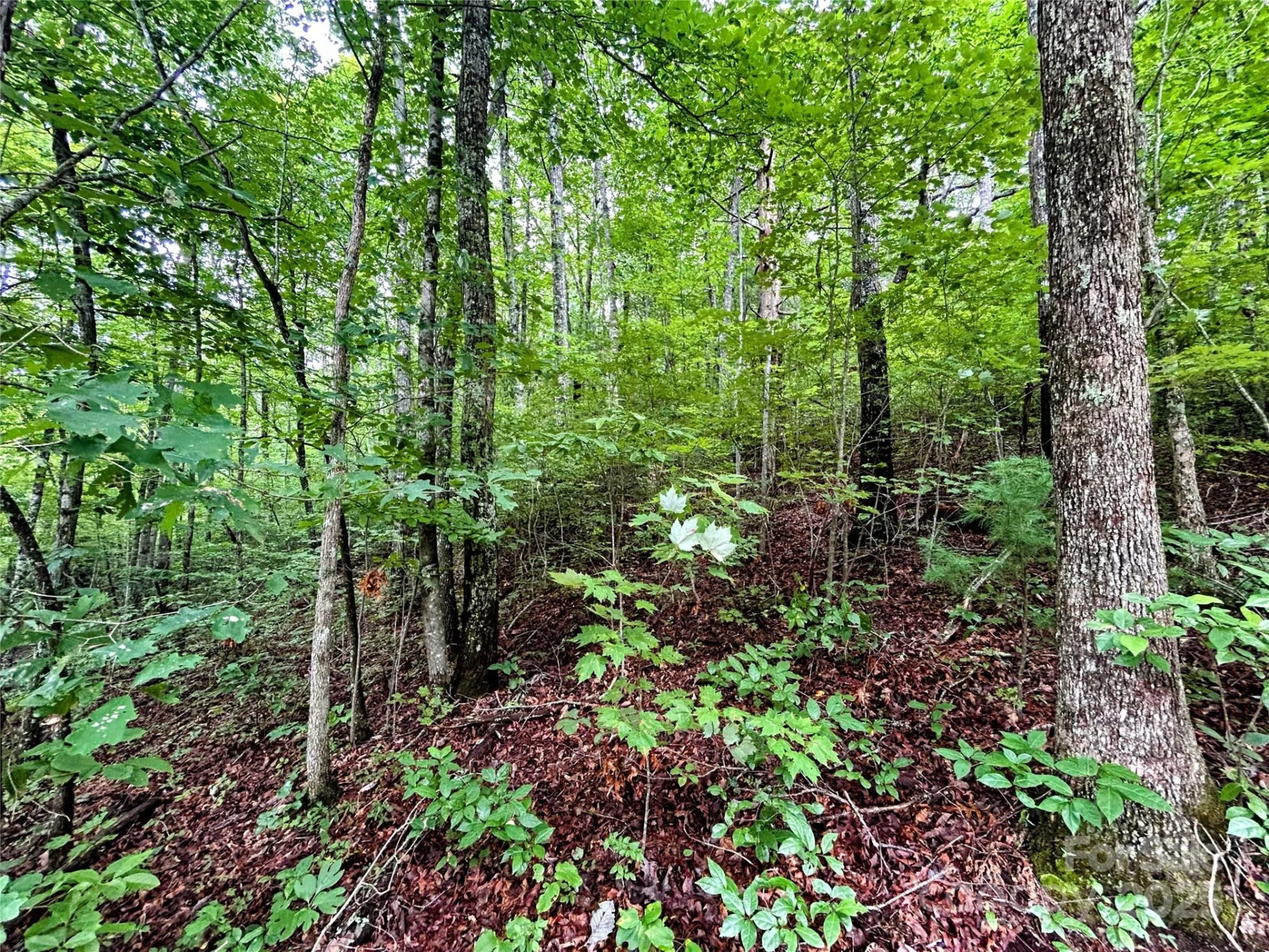 Lot 6 Azalea Way - Photo 8