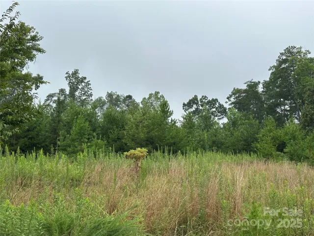 Lot 1 Celestial Drive