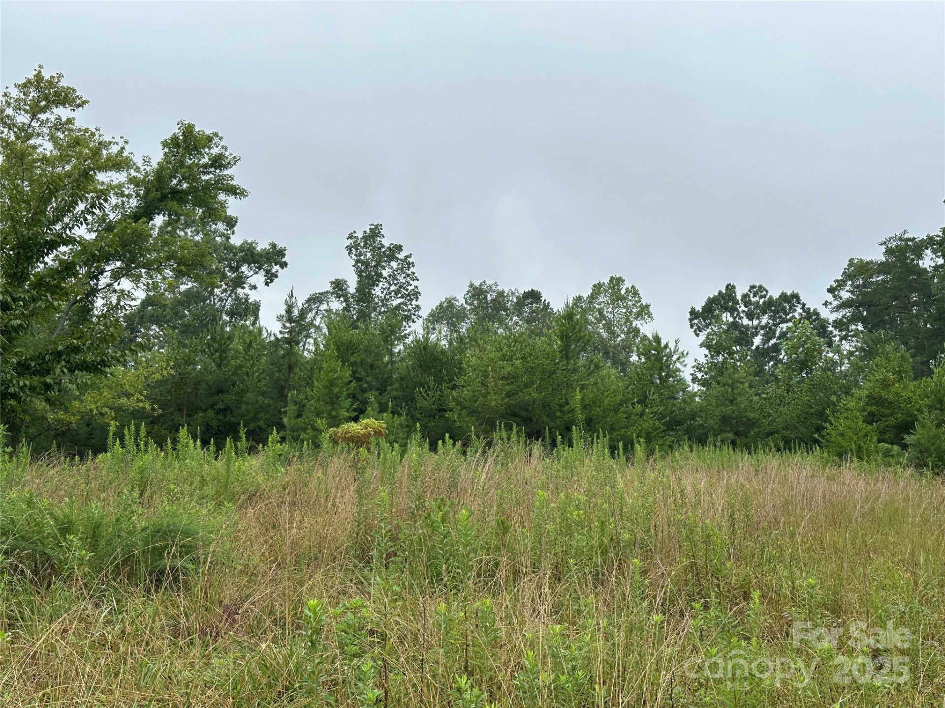 Lot 1 Celestial Drive - Photo 2