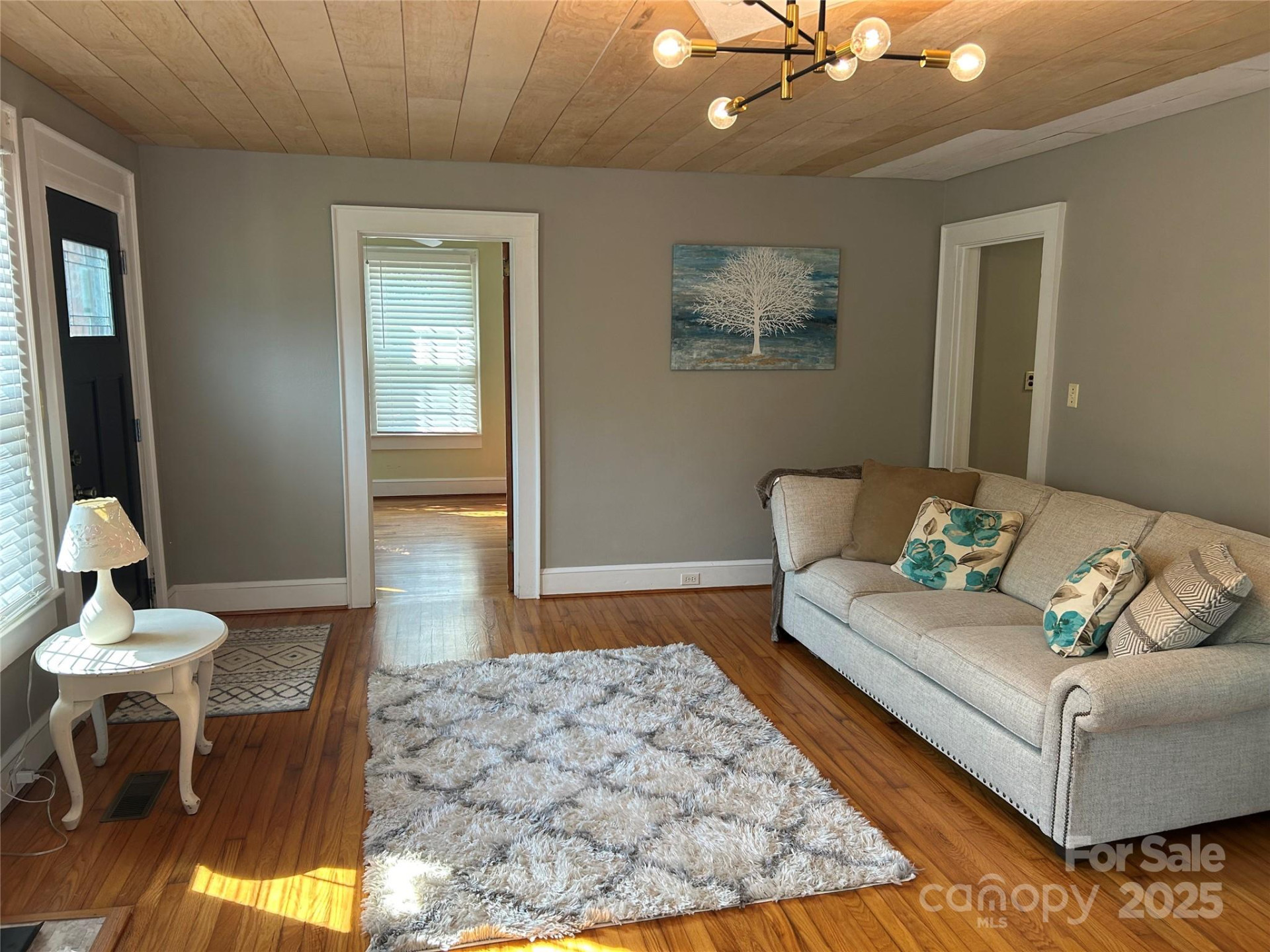 1349 US 221 Highway - Photo 12