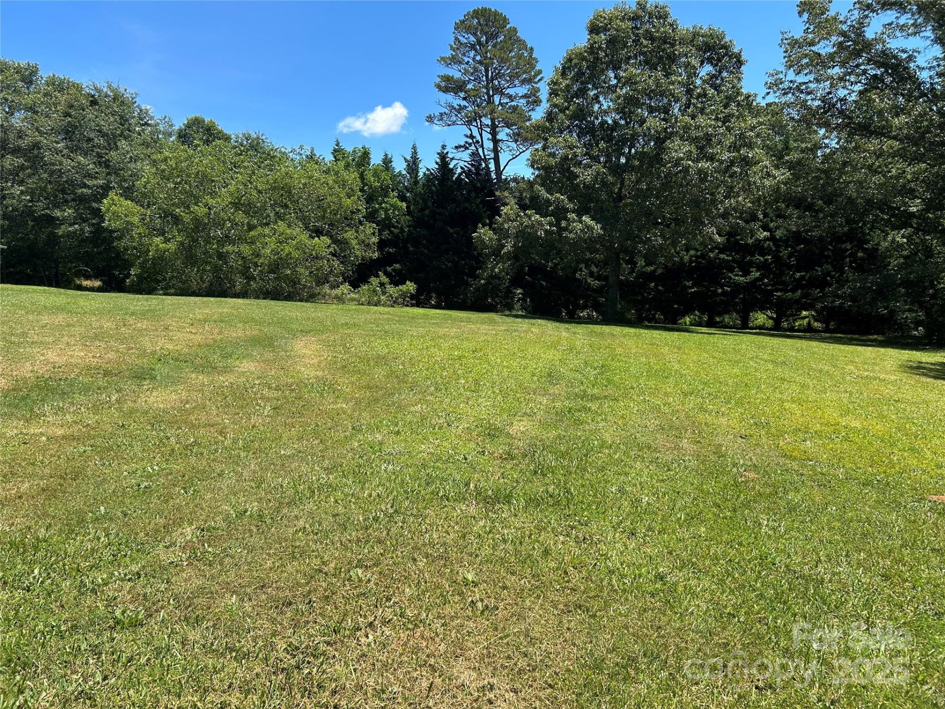 1349 US 221 Highway - Photo 7