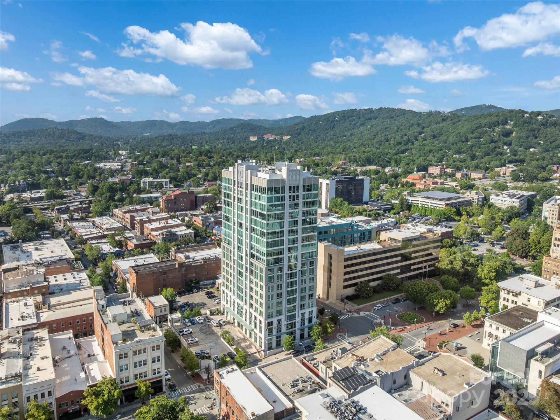 7 Patton Avenue #1503 - Photo 46