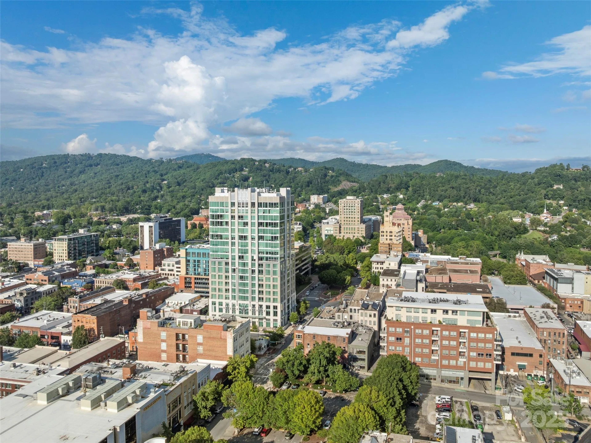 7 Patton Avenue #1503 - Photo 47