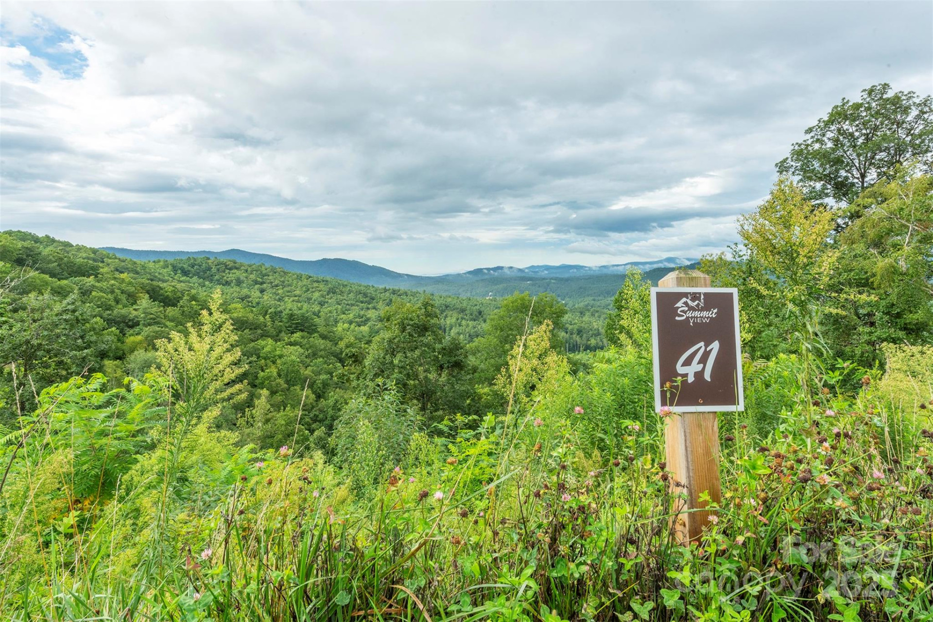 Lot 41 Summit View Parkway - Photo 4