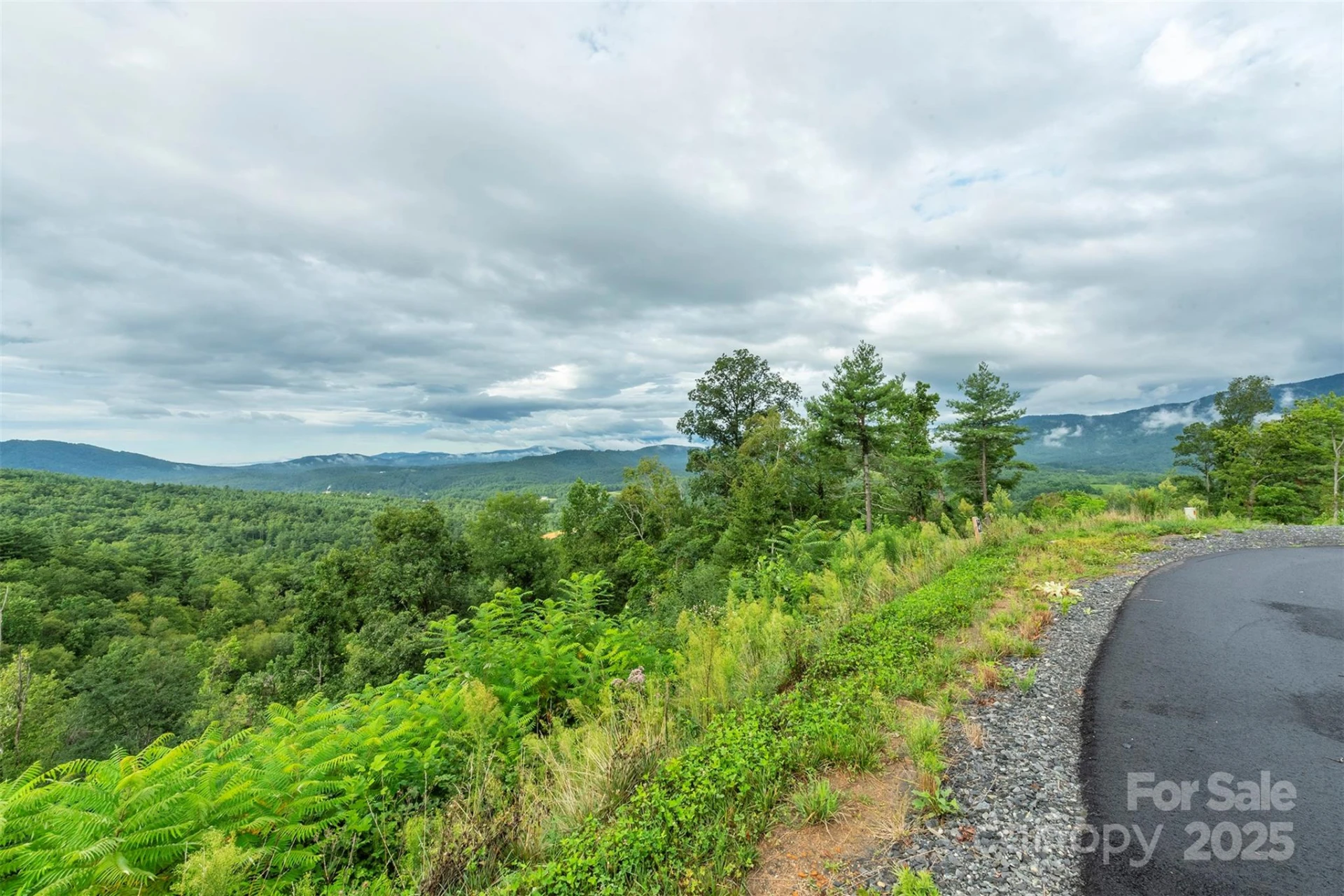 Lot 41 Summit View Parkway - Photo 8