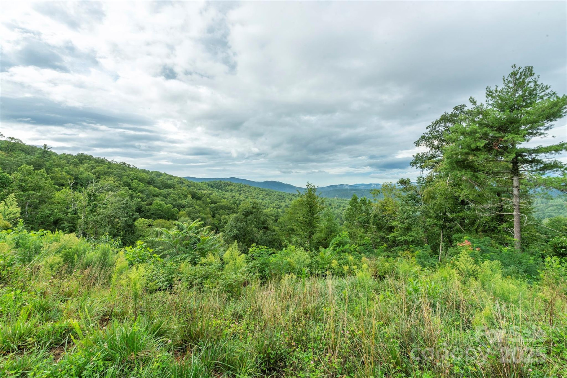 Lot 41 Summit View Parkway - Photo 10
