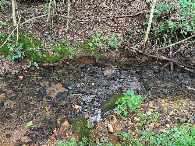 584 Groves Road - Photo 11