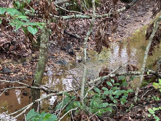 584 Groves Road - Photo 12