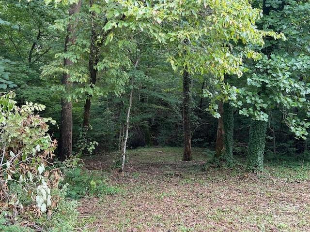 584 Groves Road - Photo 10