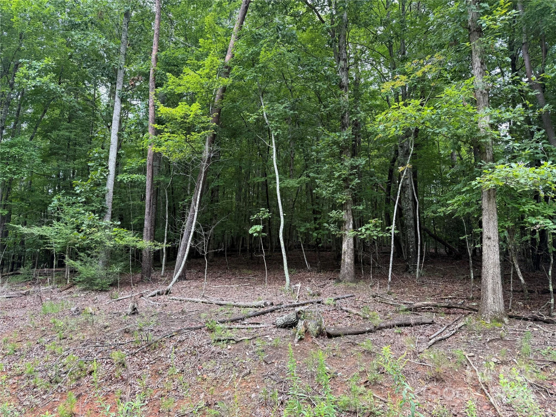 00 Woodchuck Lane #110