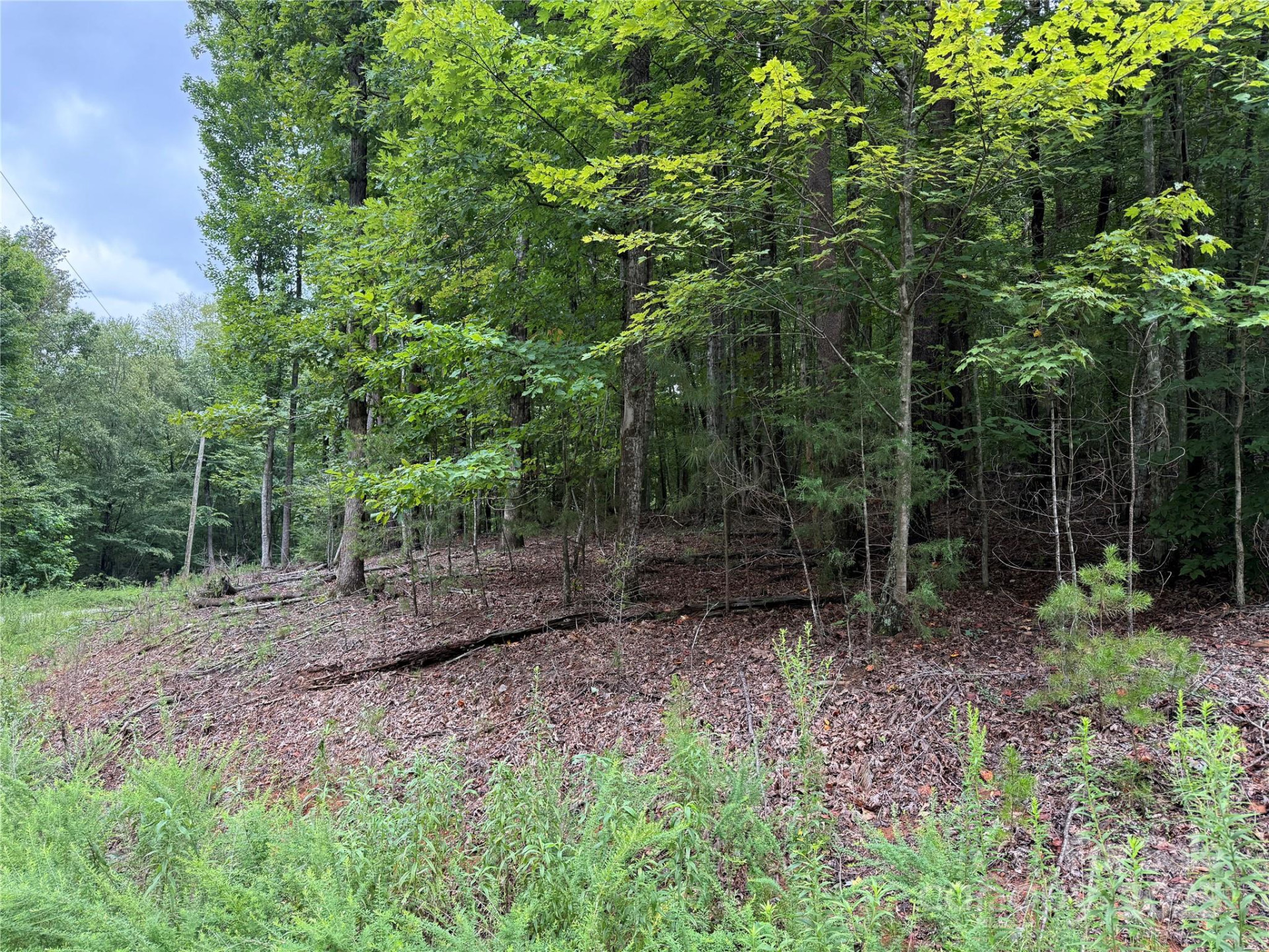 00 Woodchuck Lane #110 - Photo 2