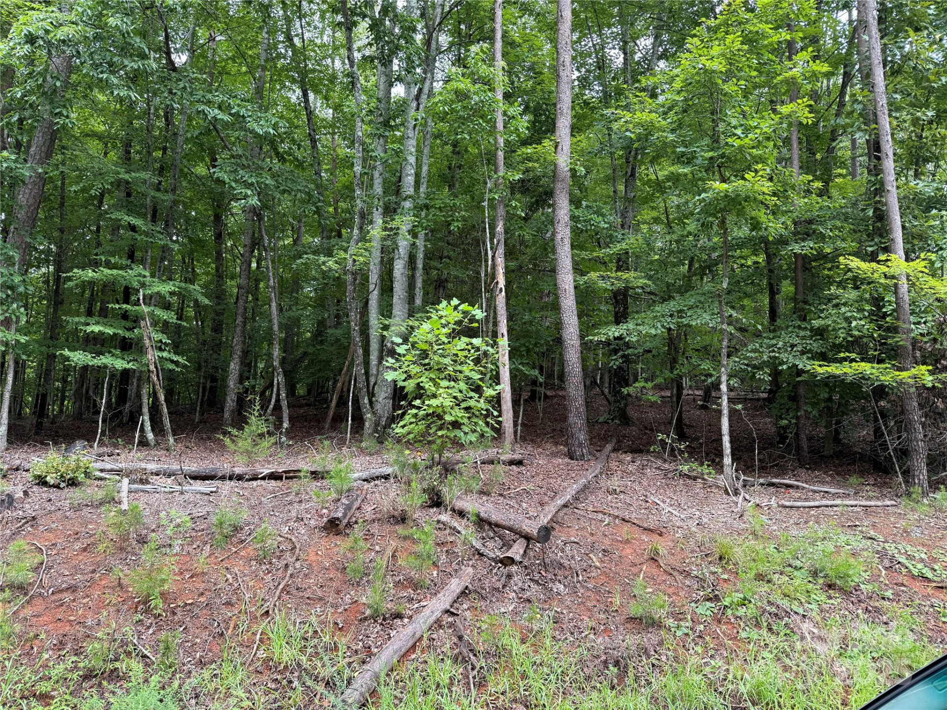 00 Woodchuck Lane #110 - Photo 3