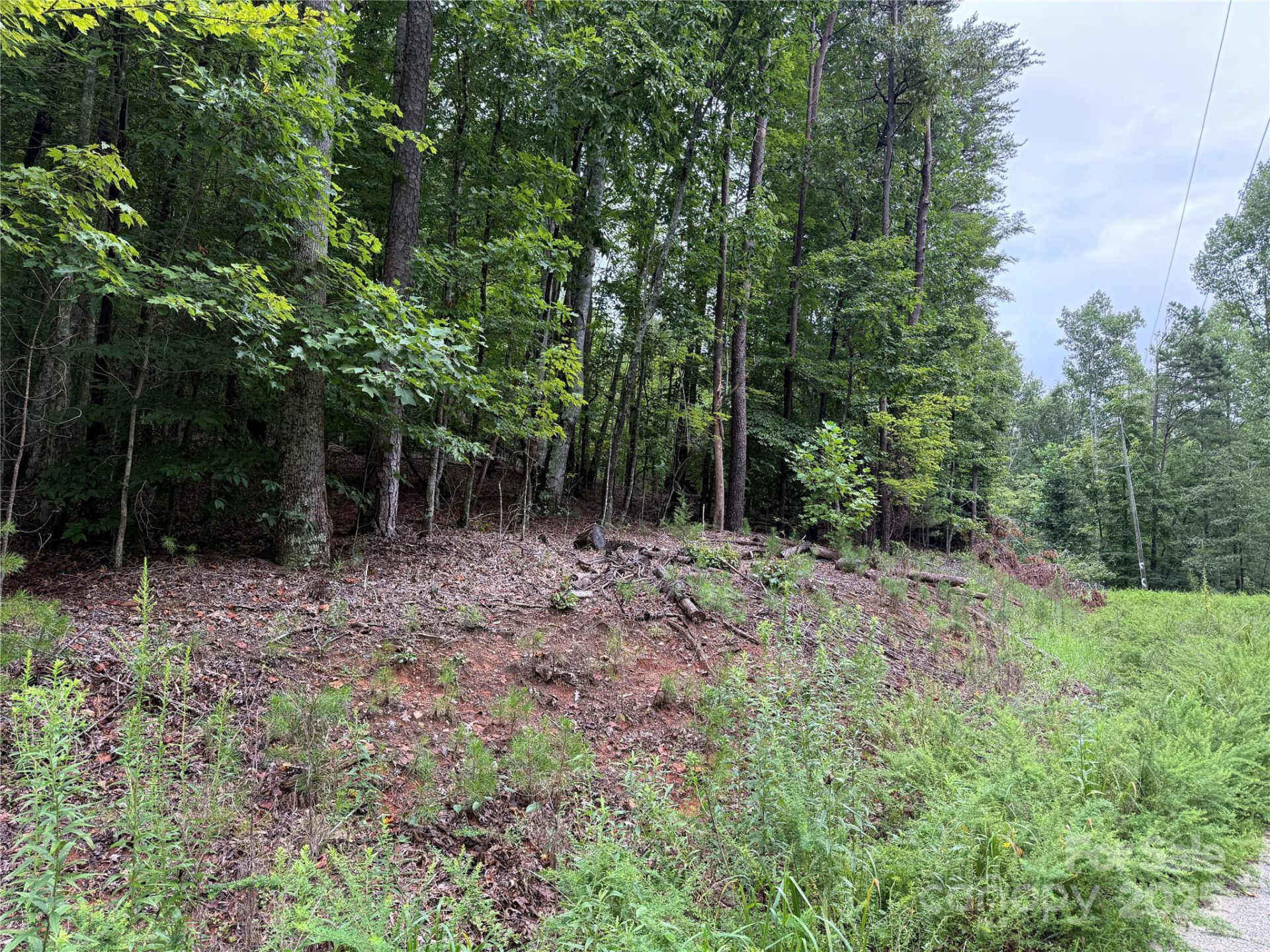 00 Woodchuck Lane #110 - Photo 4