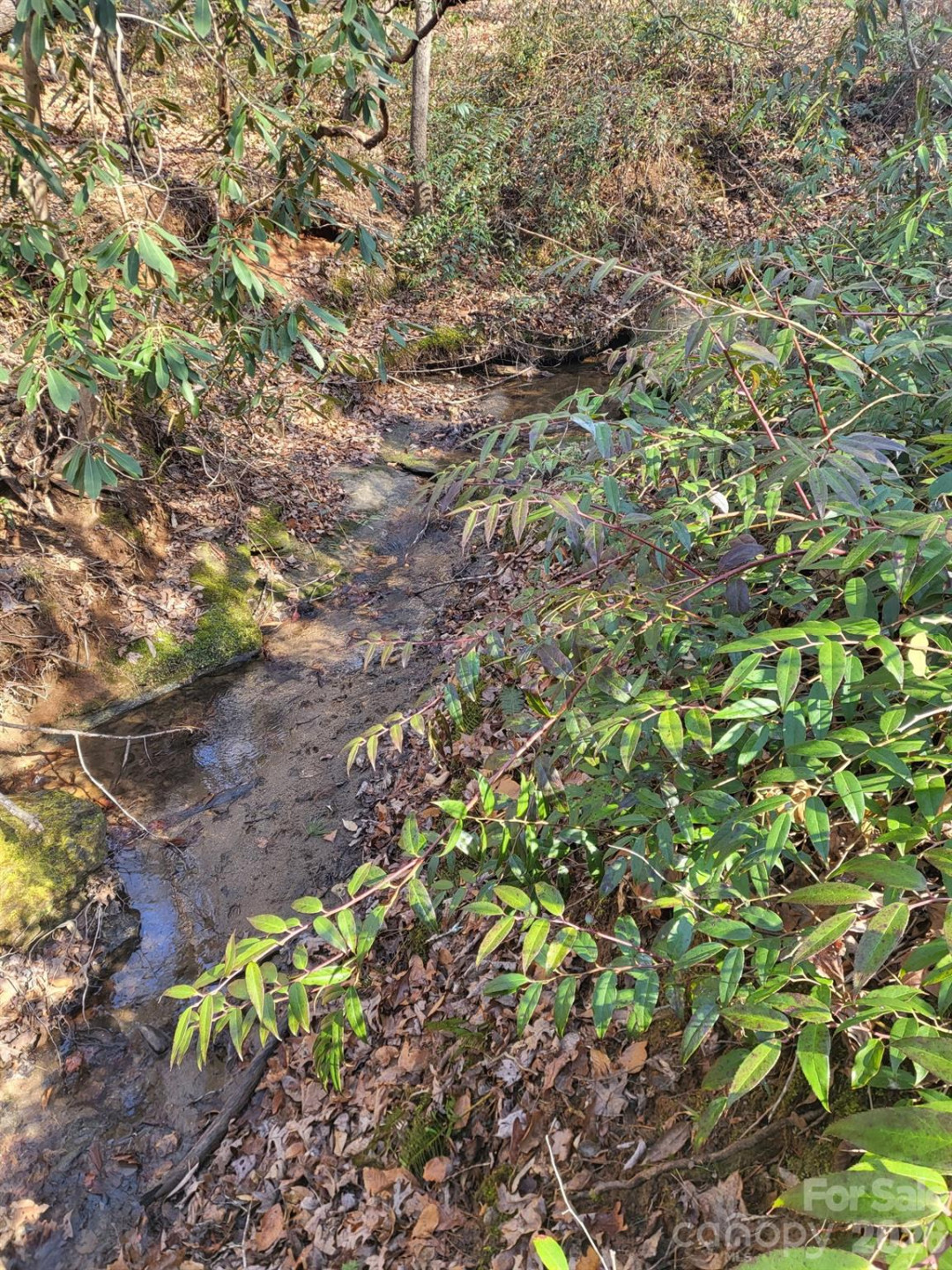 257 Roadrunner Circle - Photo 28