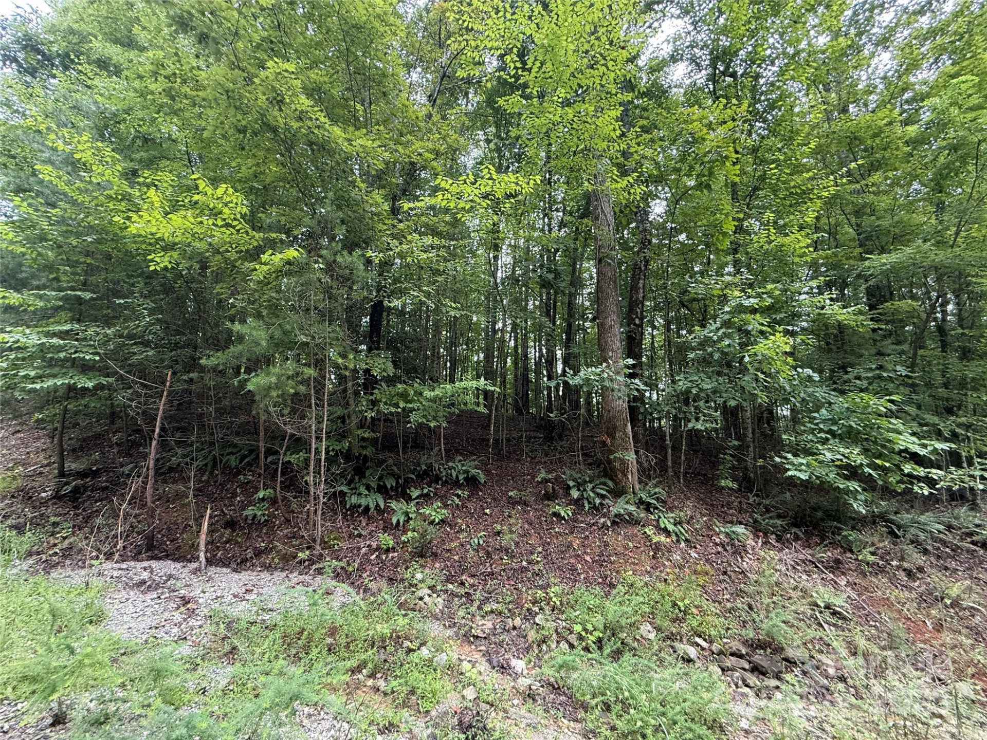 0 Woodchuck Lane #111