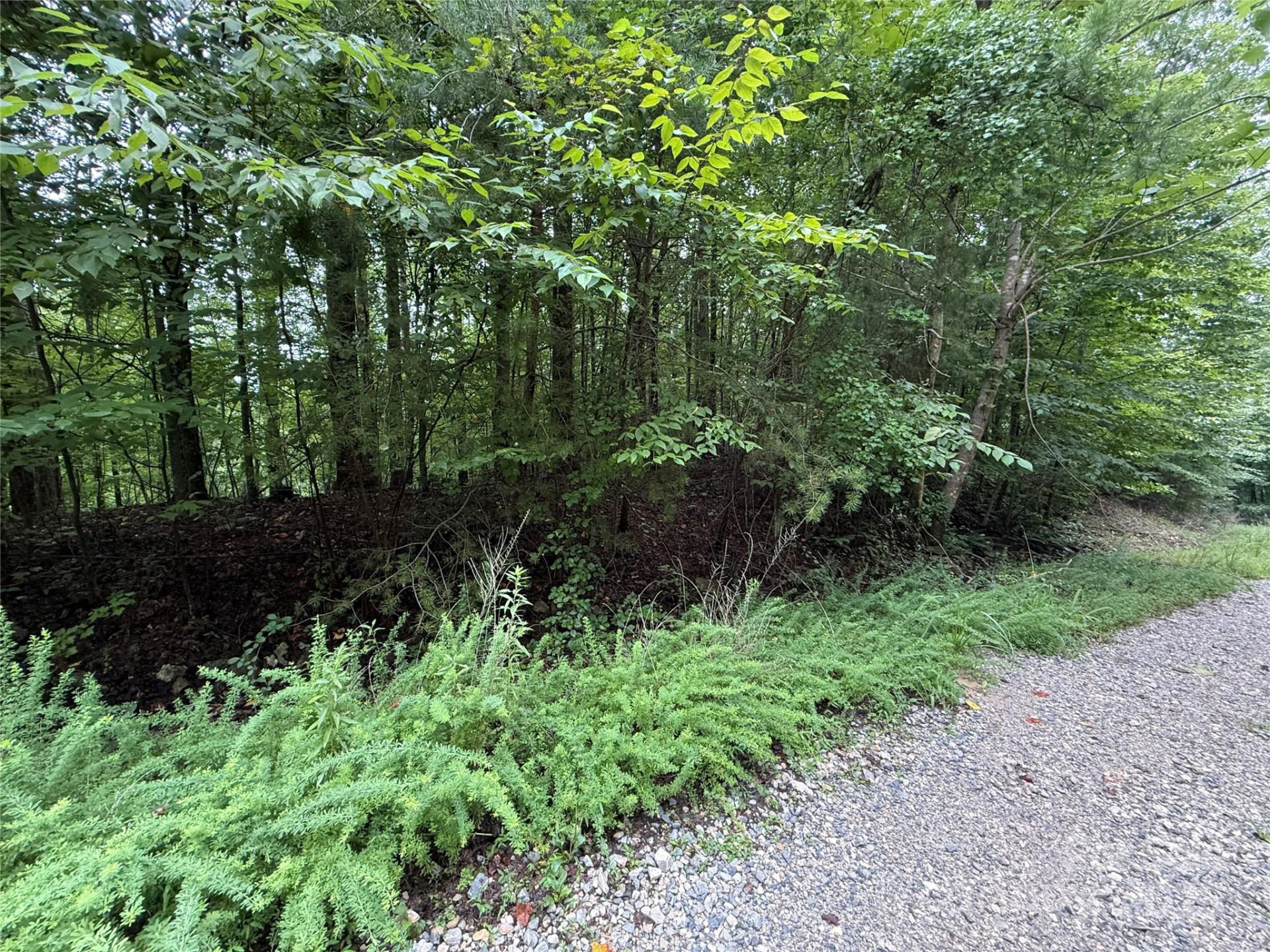 0 Woodchuck Lane #111 - Photo 2