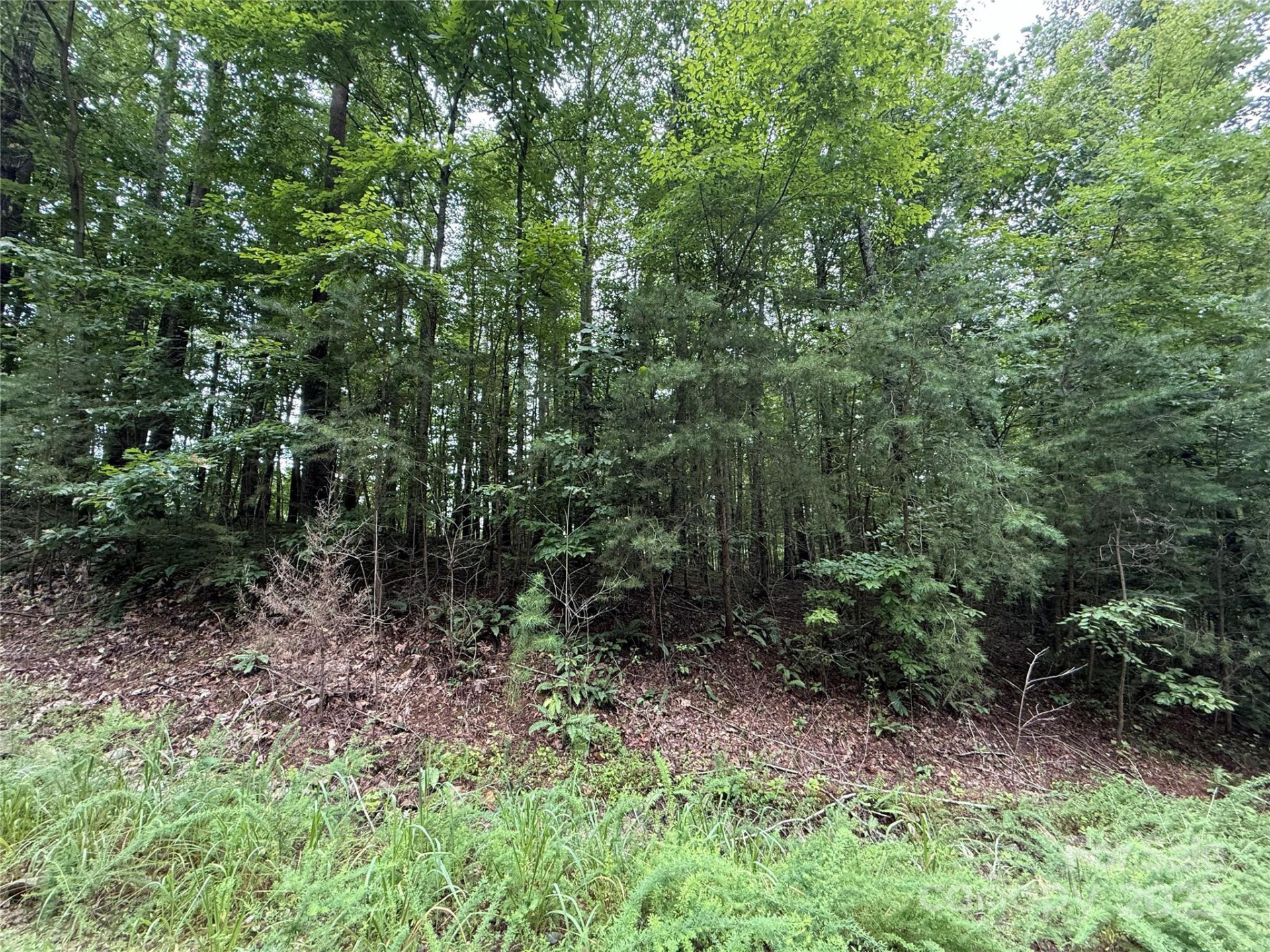 0 Woodchuck Lane #111 - Photo 3