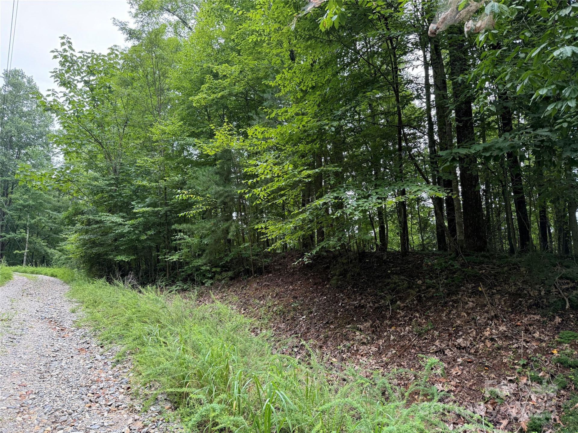 0 Woodchuck Lane #111 - Photo 4