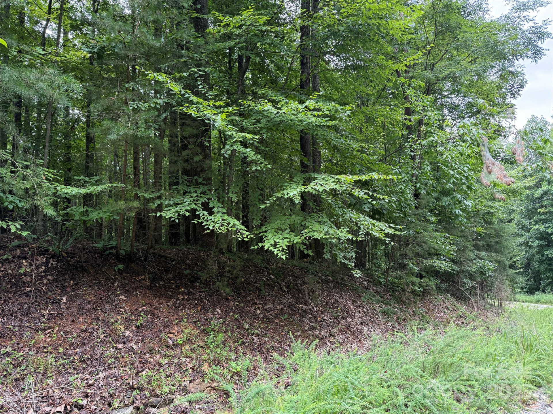 0 Woodchuck Lane #111 - Photo 5