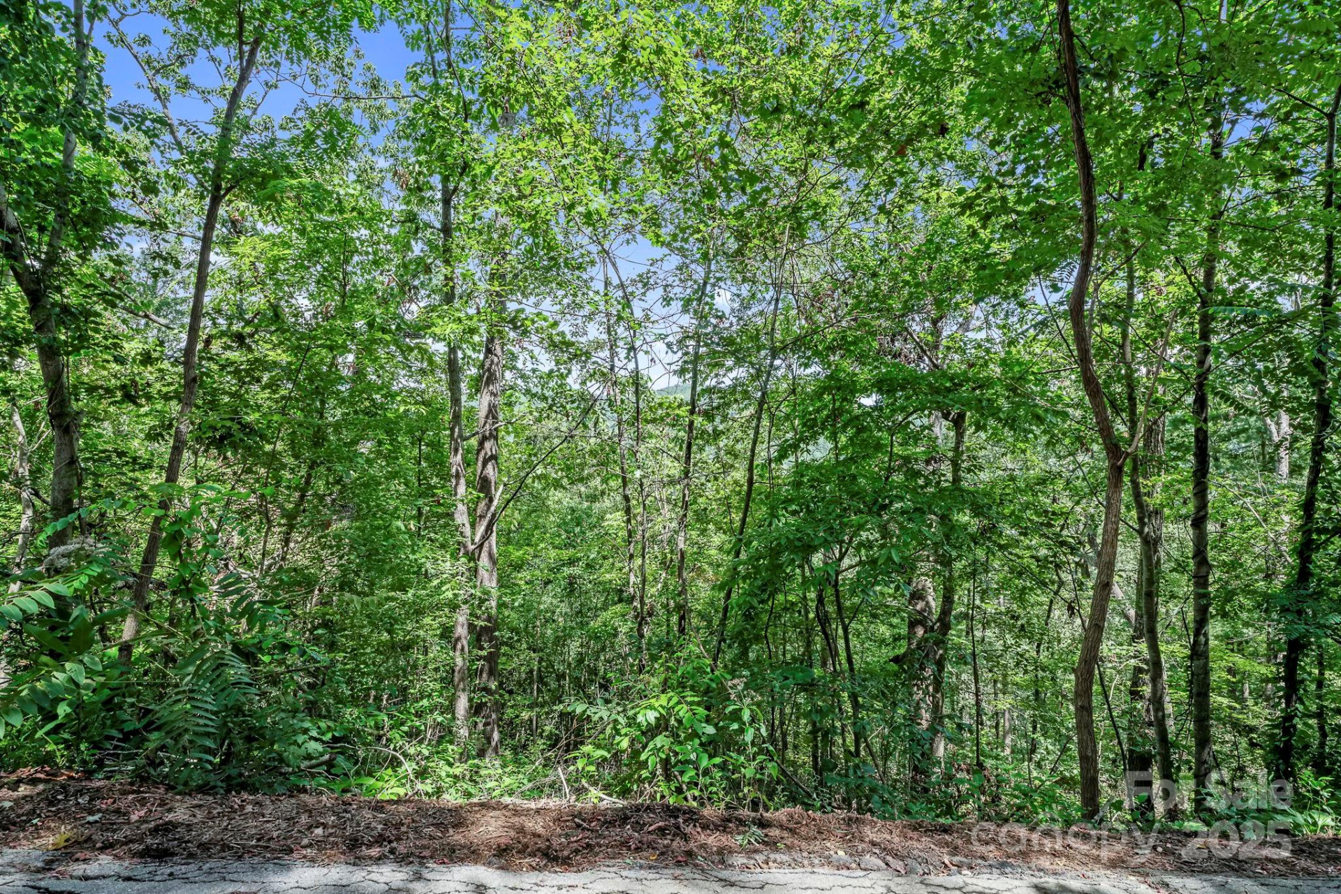 376 Vance Gap Road - Photo 4