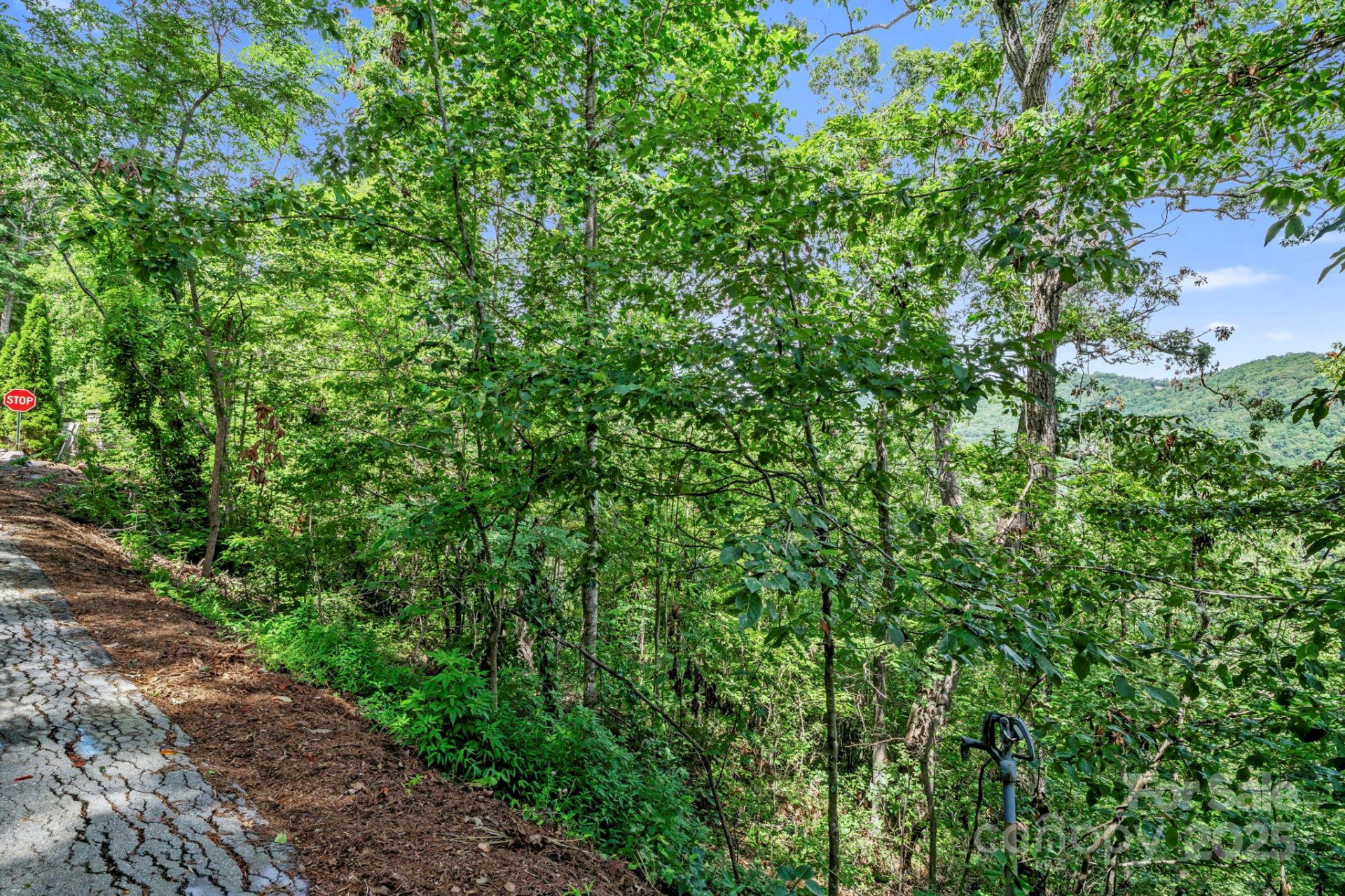 376 Vance Gap Road - Photo 5