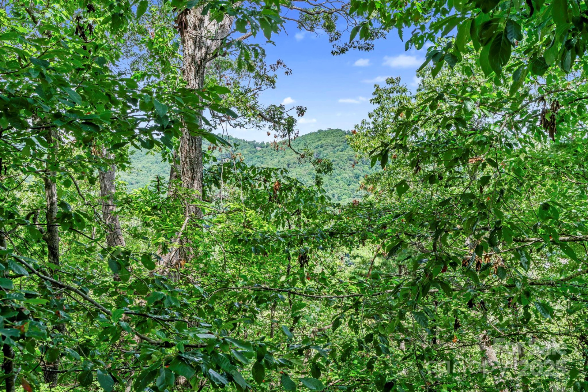 376 Vance Gap Road - Photo 6