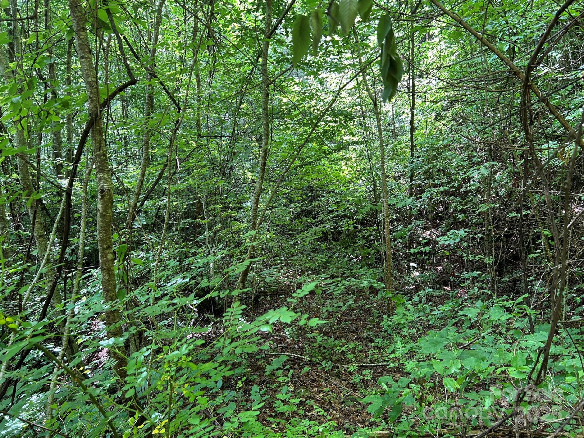 0 Loon Lane #50 - Photo 2