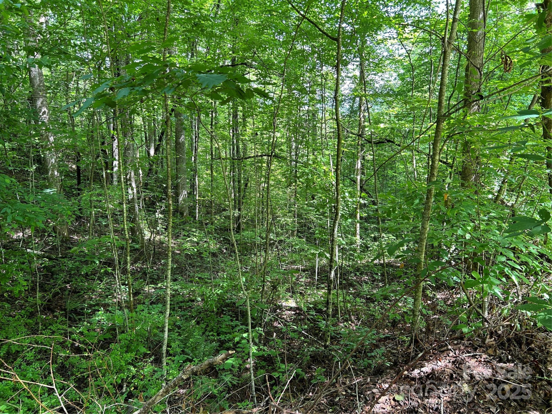 0 Loon Lane #50 - Photo 3