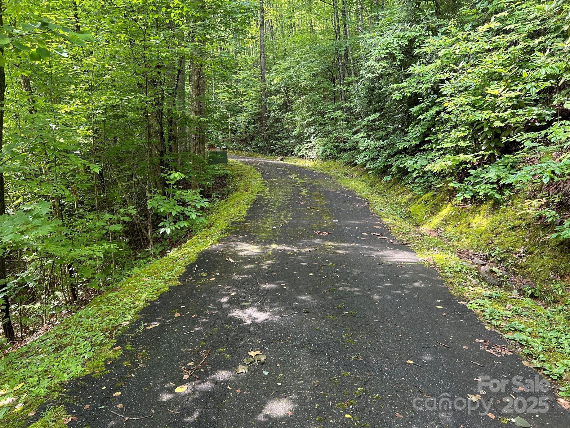 0 Loon Lane #50 - Photo 4