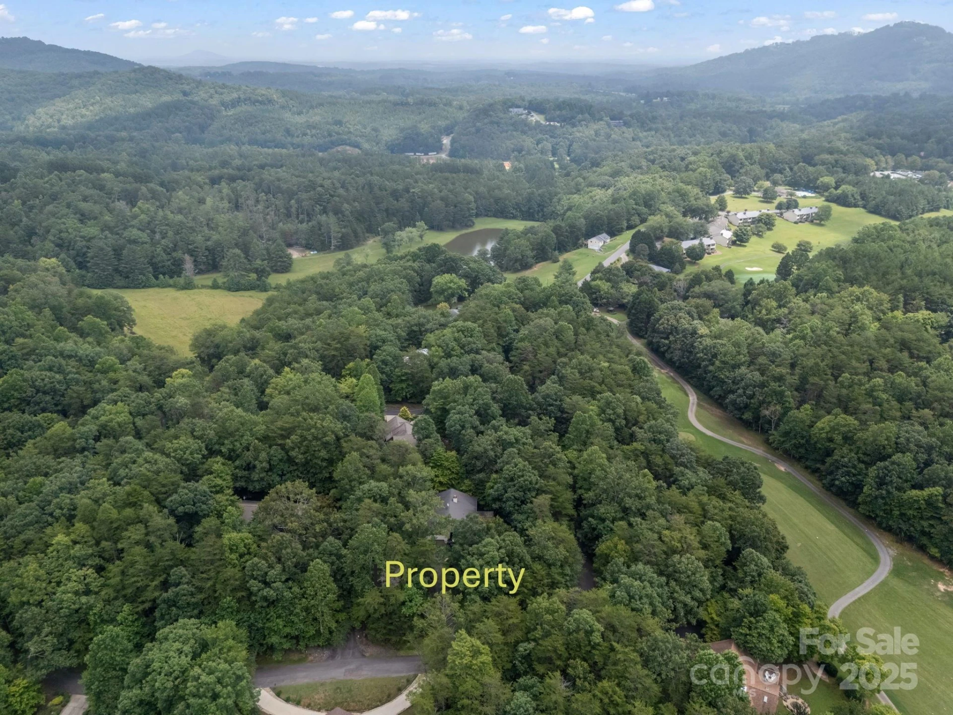 134 Downing Place - Photo 30