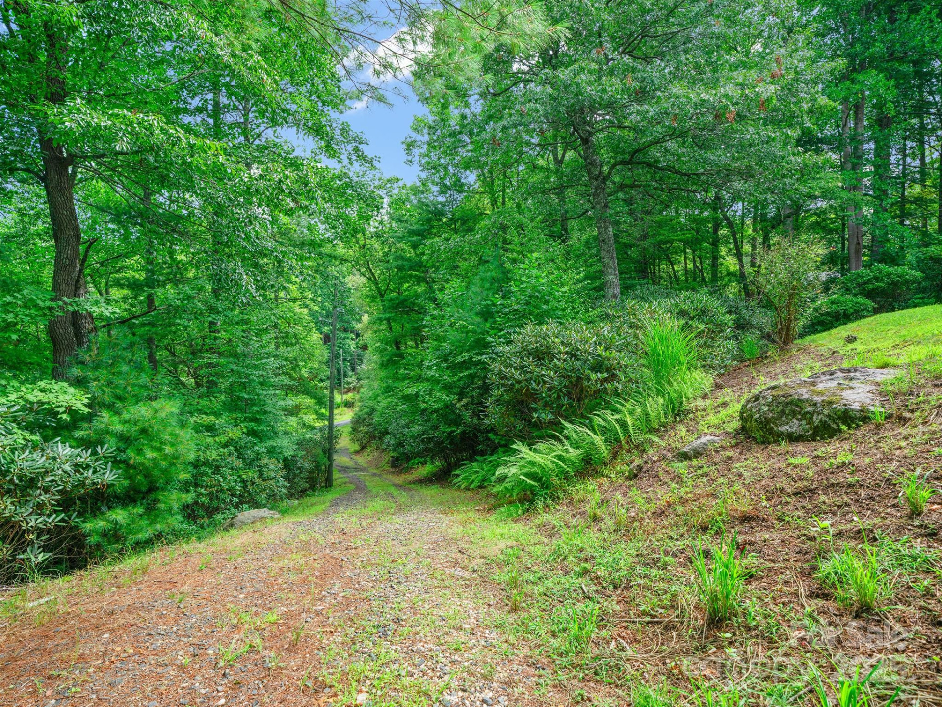 59 Deer Place Road - Photo 36