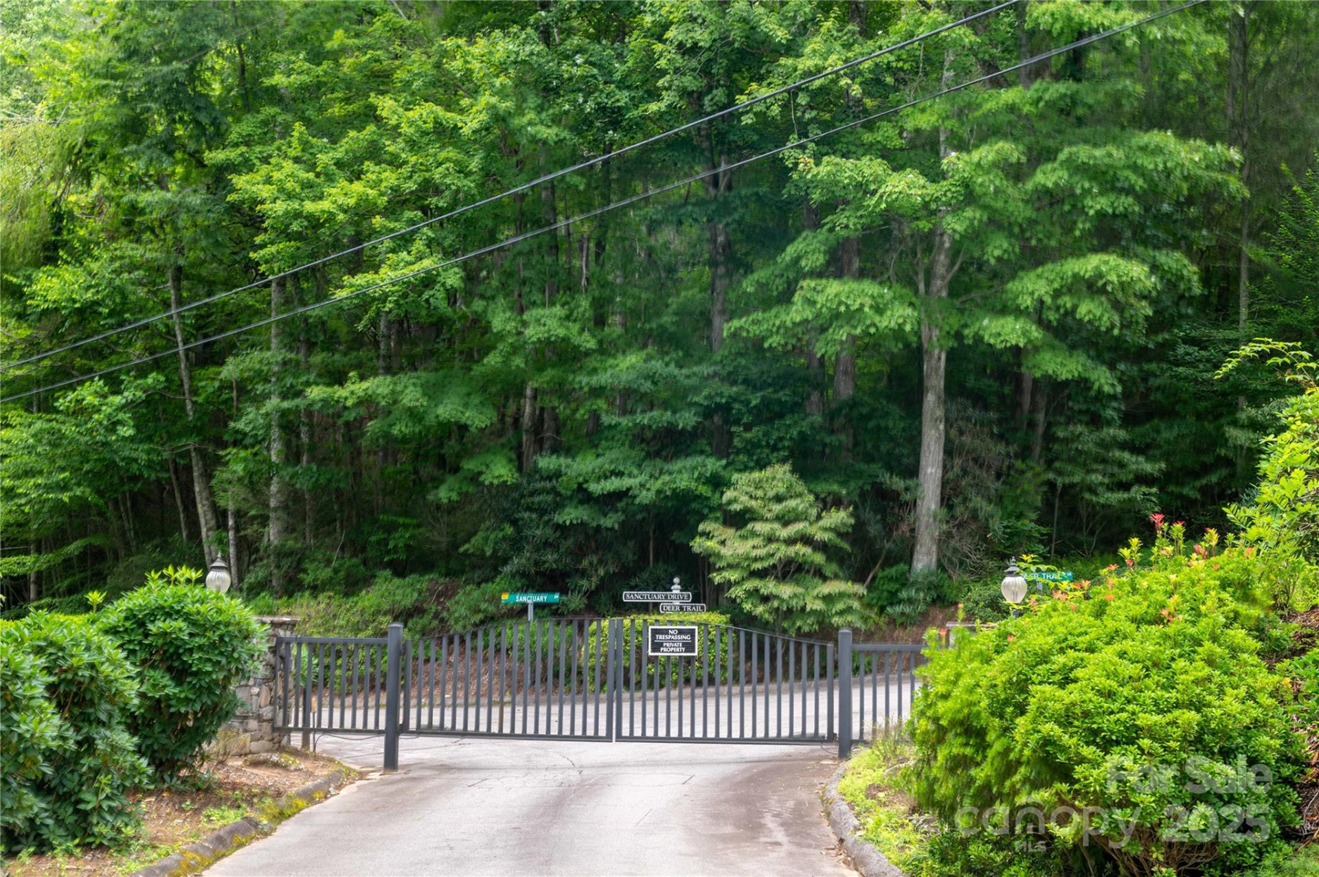 44 Deer Trail Drive - Photo 2