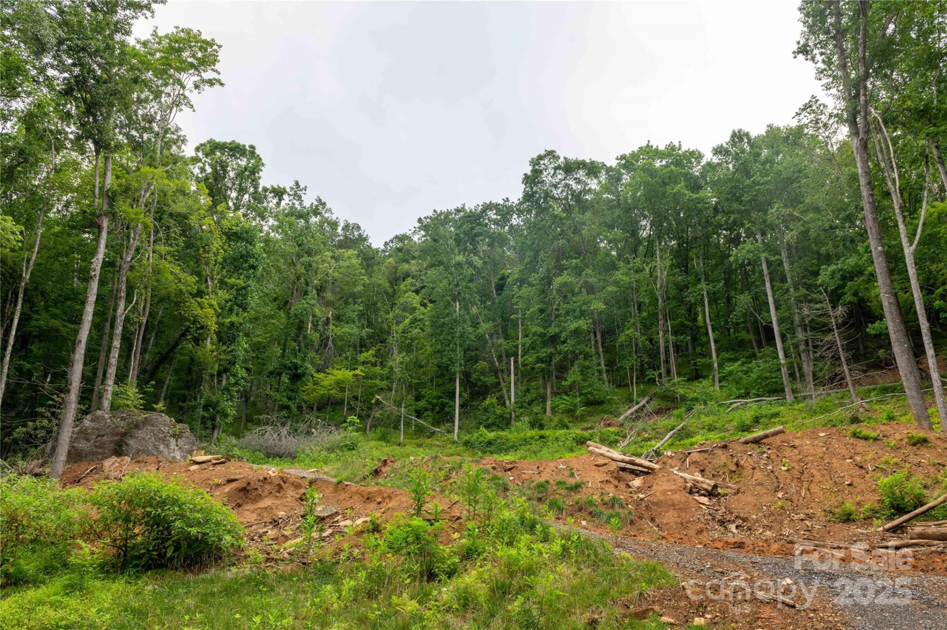 44 Deer Trail Drive - Photo 11