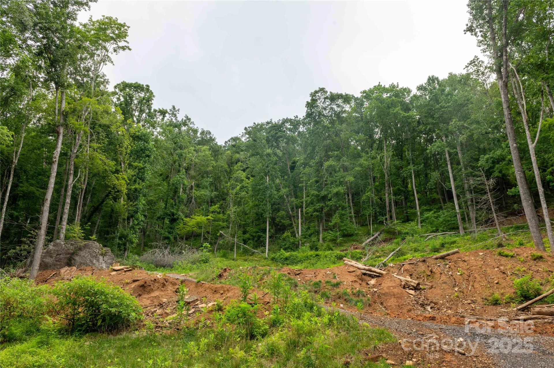 44 Deer Trail Drive - Photo 11