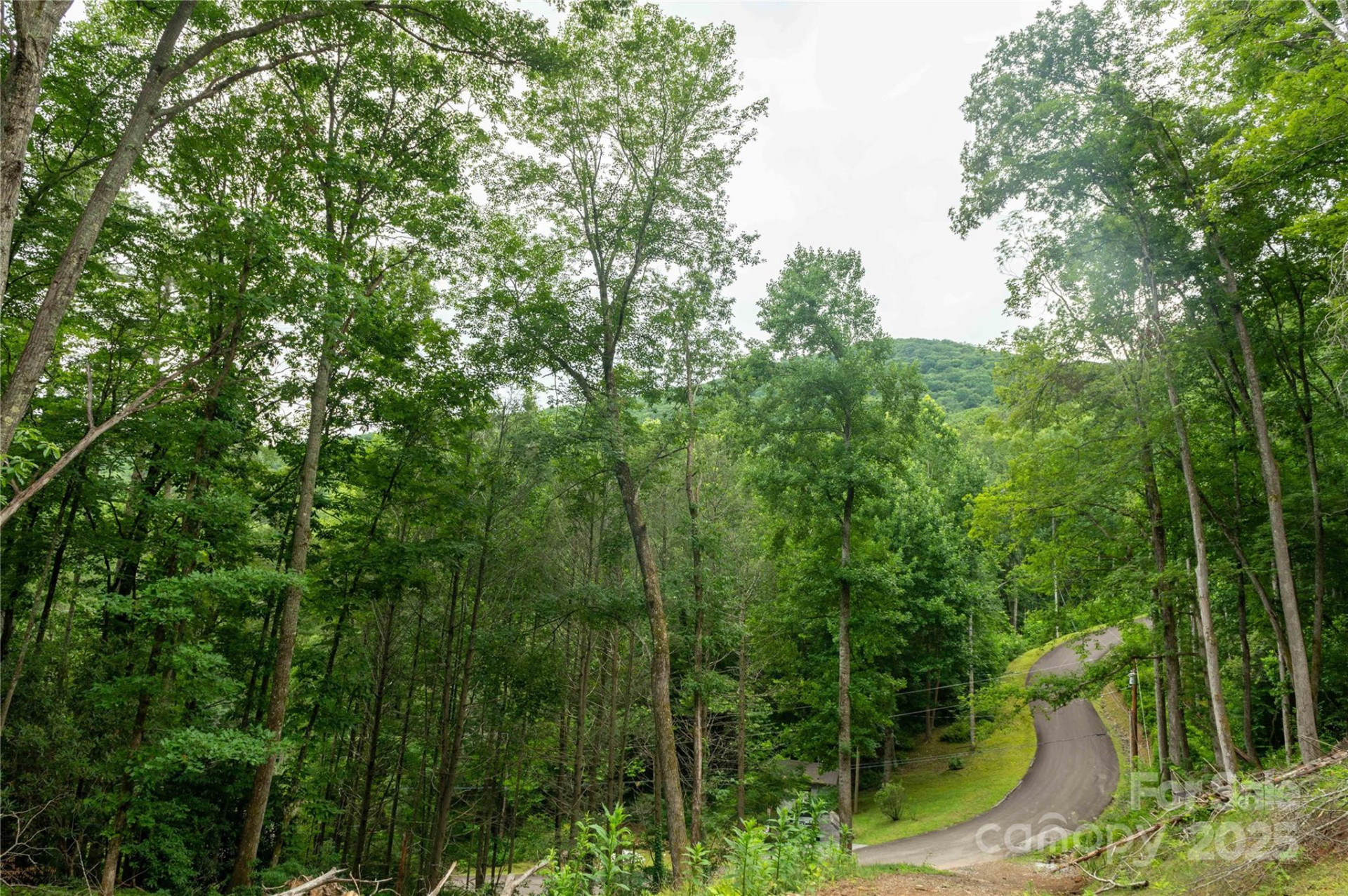 44 Deer Trail Drive - Photo 12