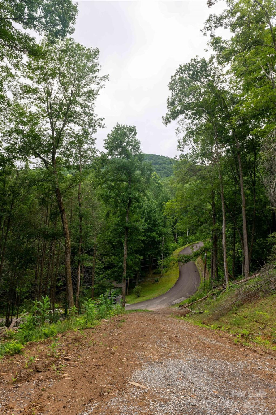 44 Deer Trail Drive - Photo 13