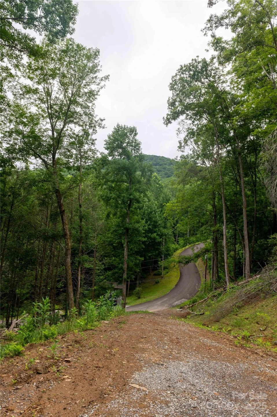 44 Deer Trail Drive - Photo 13