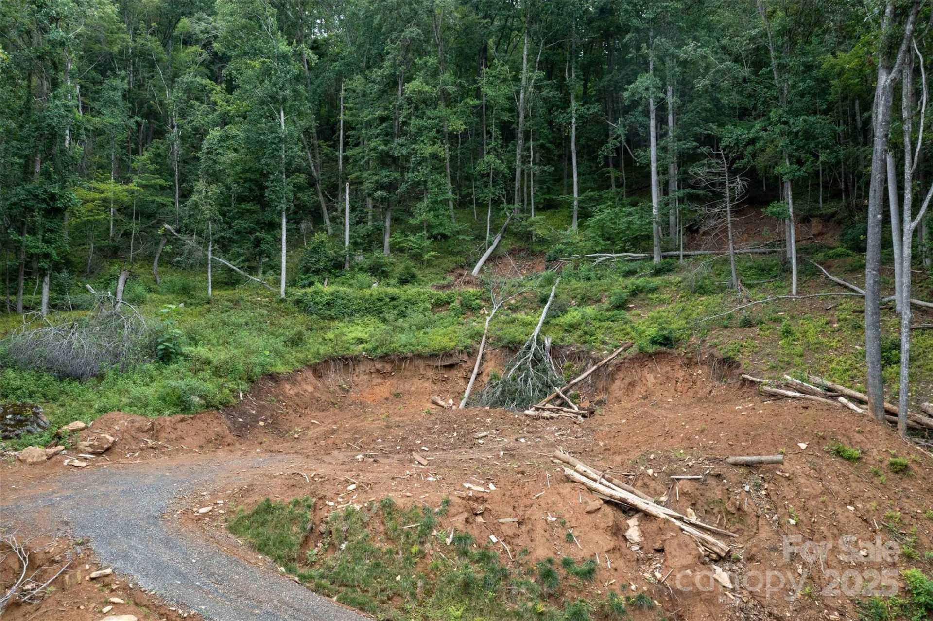 44 Deer Trail Drive - Photo 14