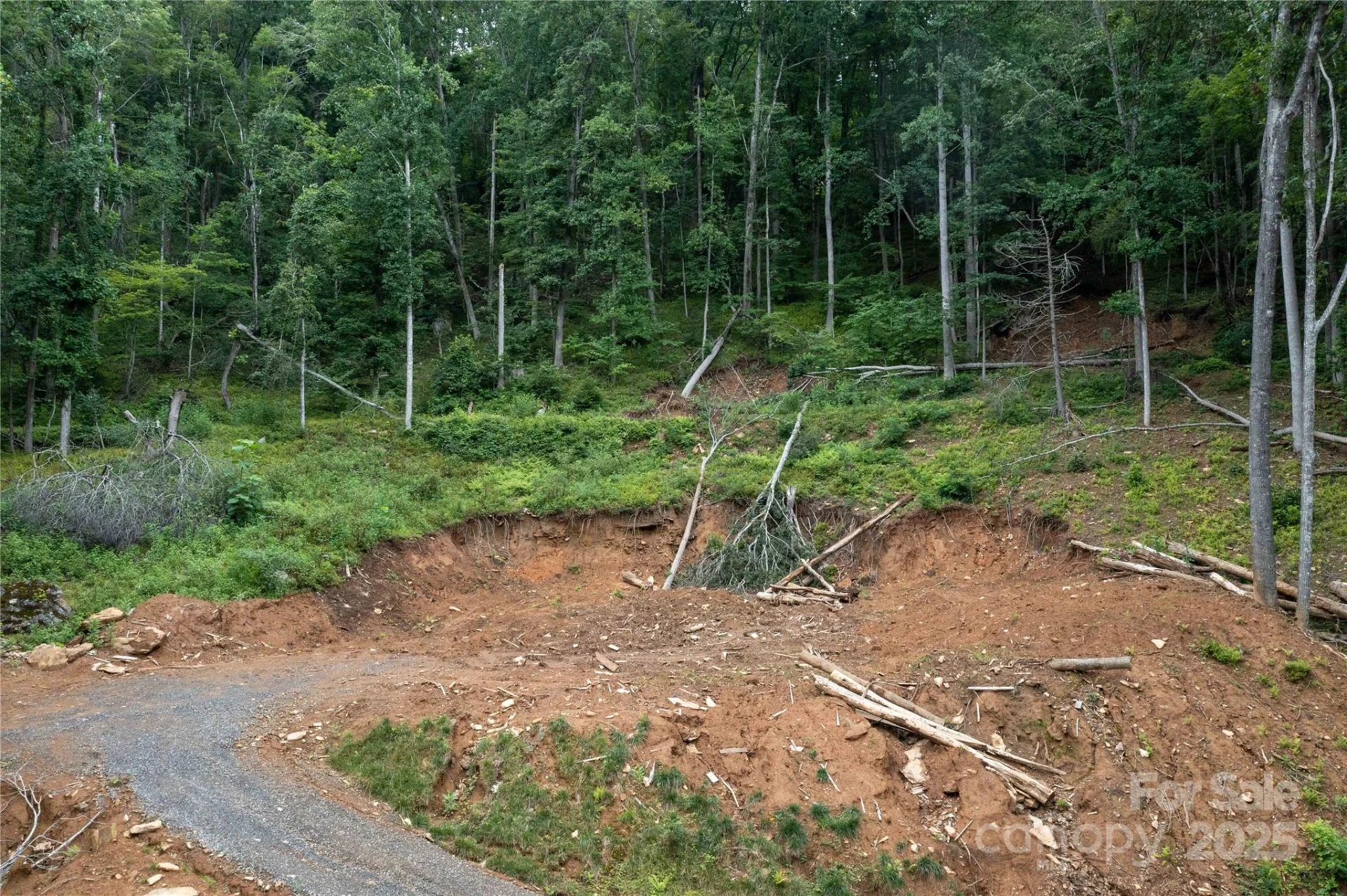 44 Deer Trail Drive - Photo 14