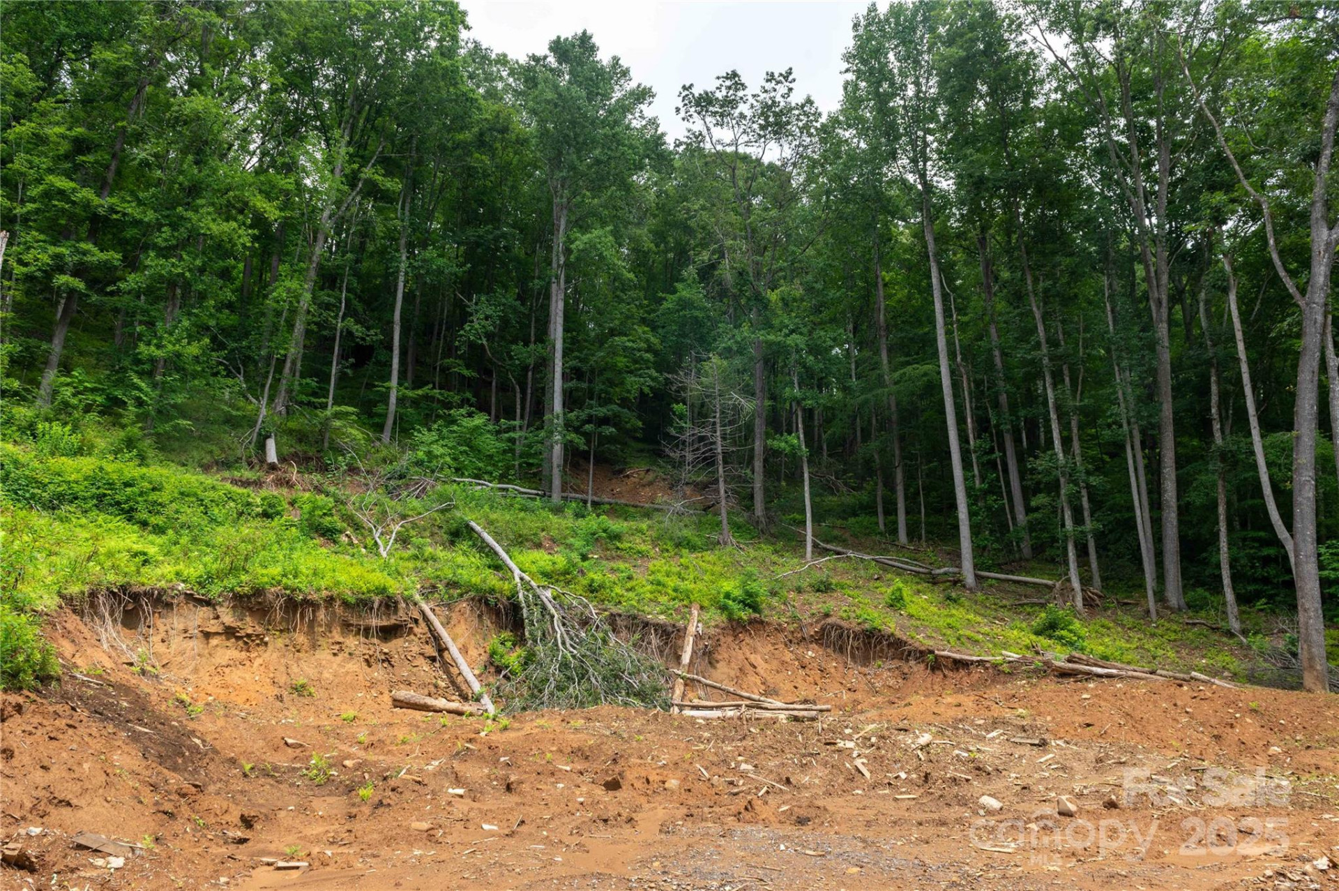 44 Deer Trail Drive - Photo 20