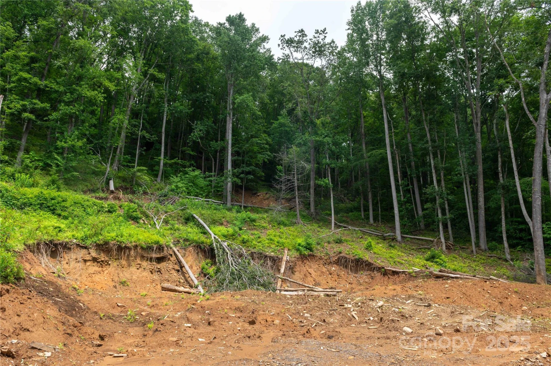 44 Deer Trail Drive - Photo 20