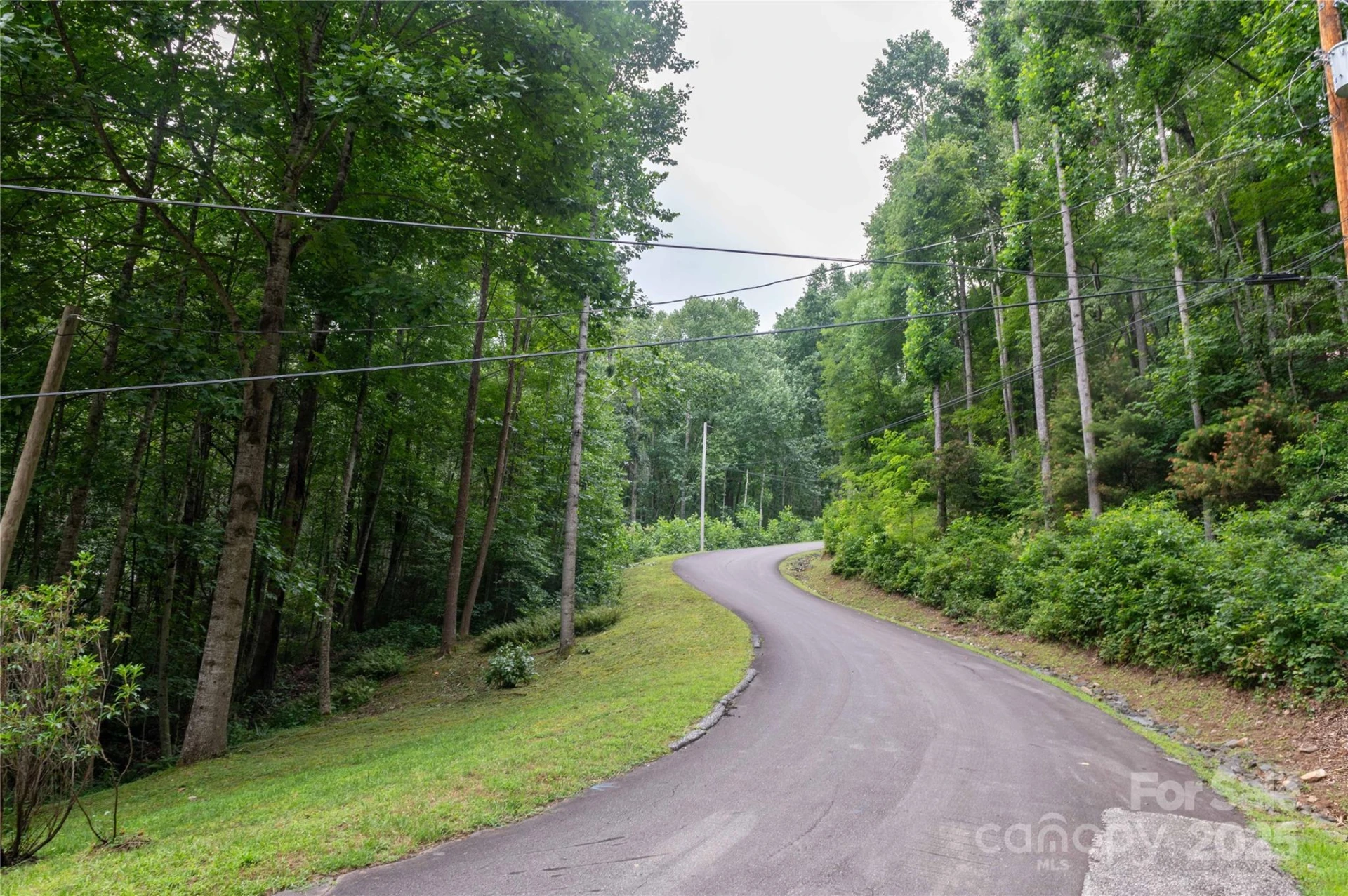 44 Deer Trail Drive - Photo 3