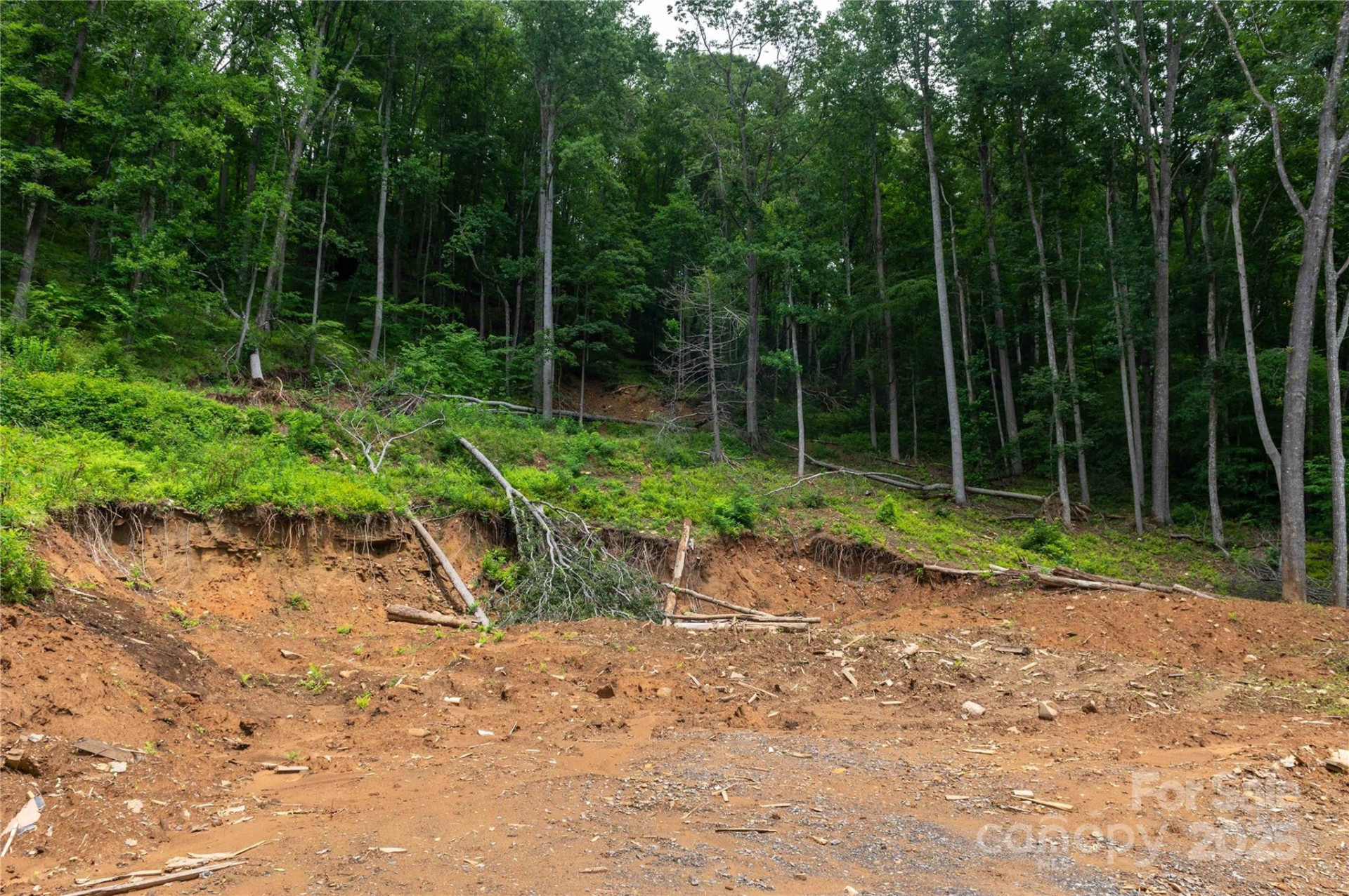 44 Deer Trail Drive - Photo 21