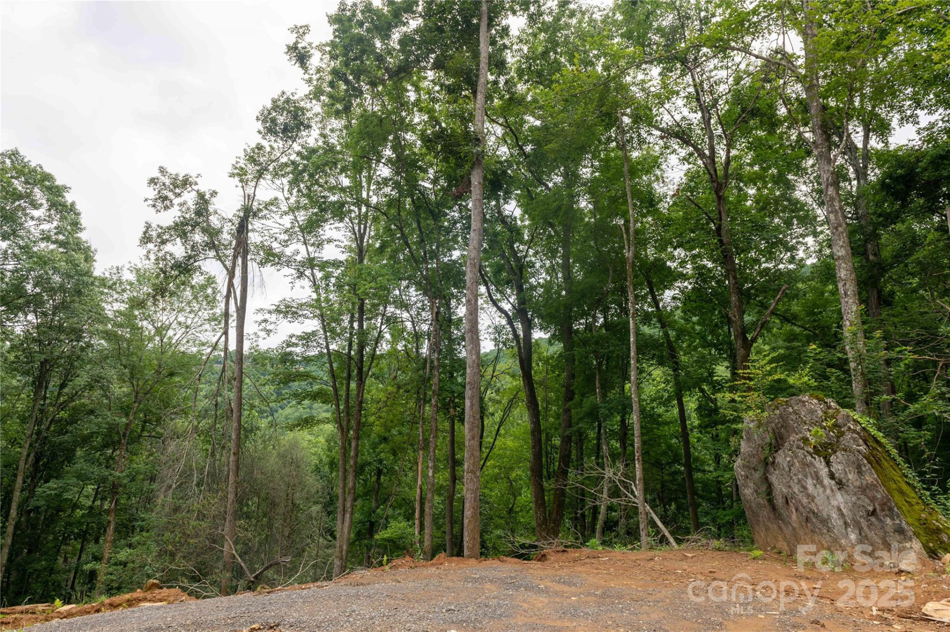 44 Deer Trail Drive - Photo 24